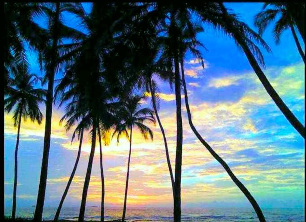 Samant Beach Resort