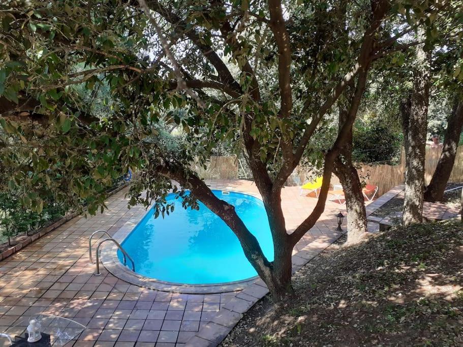Begur Estudi en finca per a 4p Piscina Privada view 2