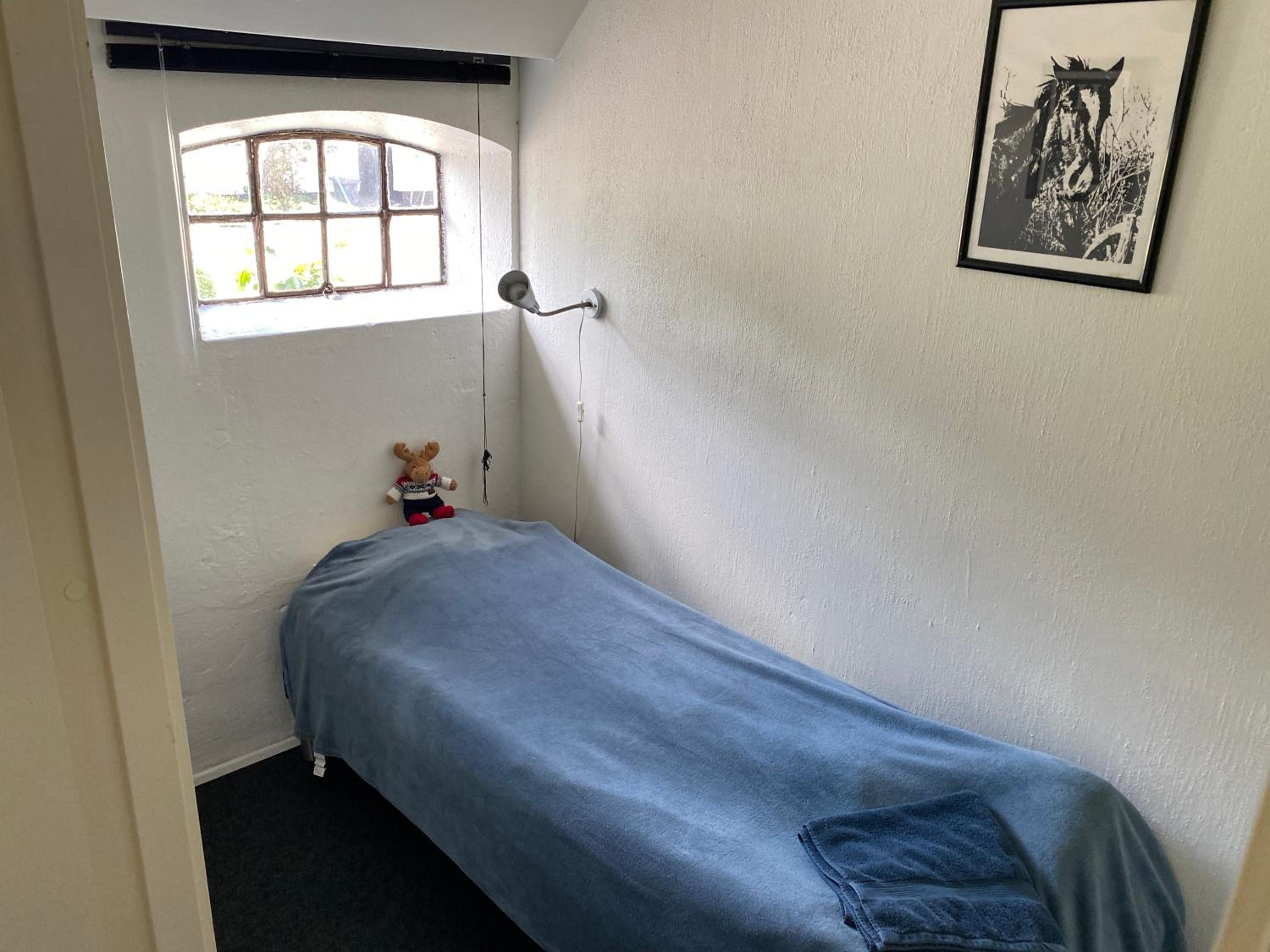 Photo 27