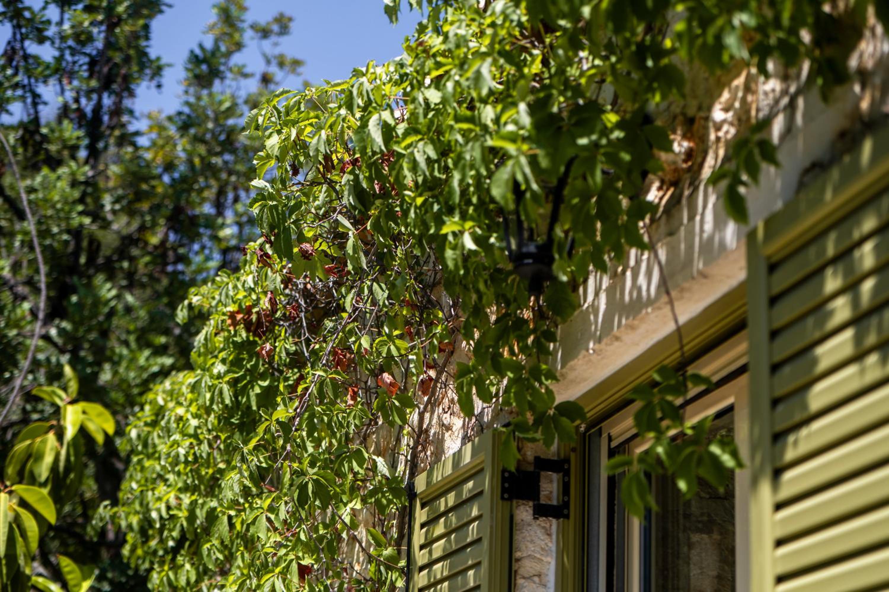 Hotel Villa Demetra (formerly Villa Aloni) - Image 1