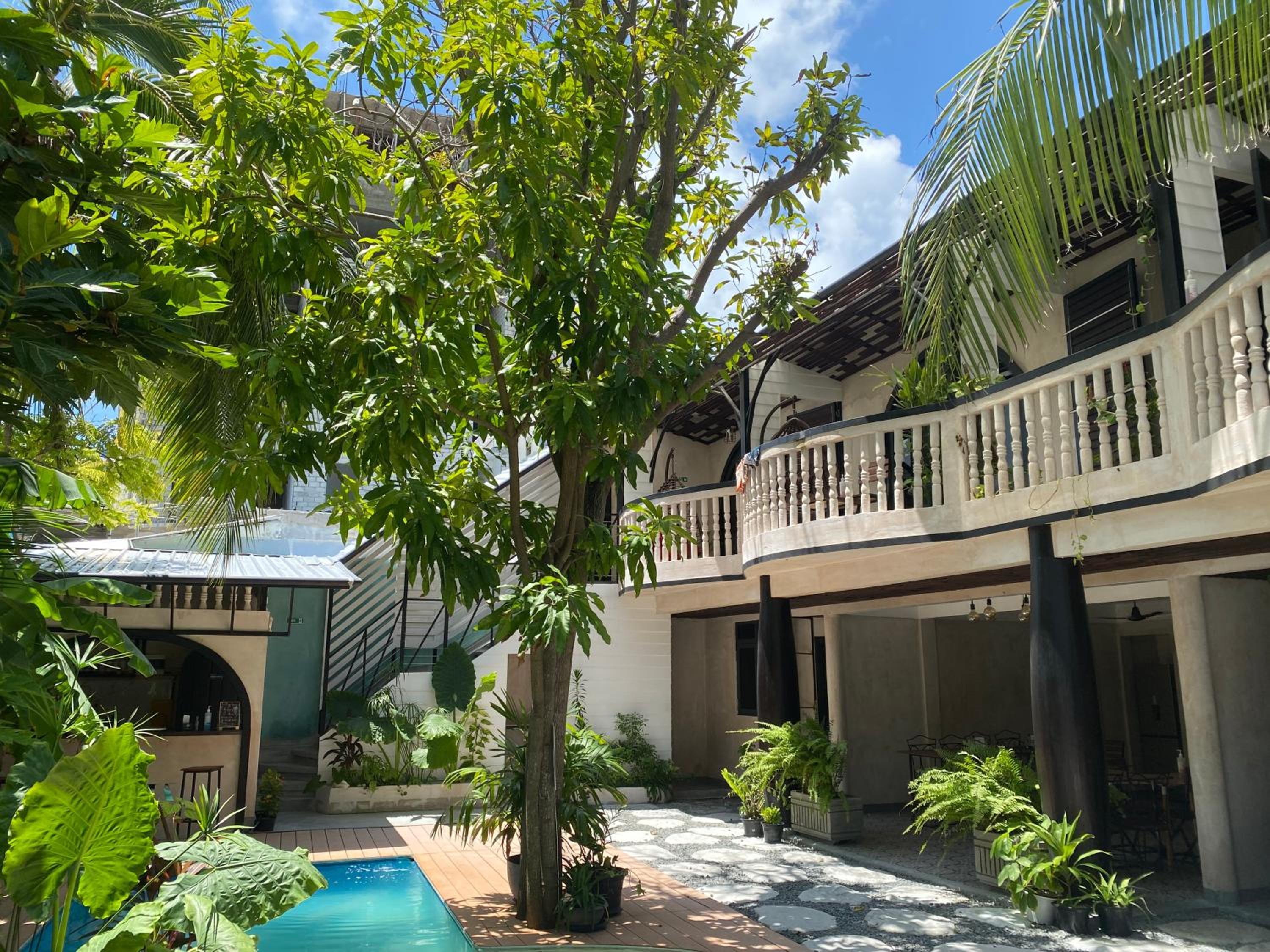 Zinnia Maafushi photo 5