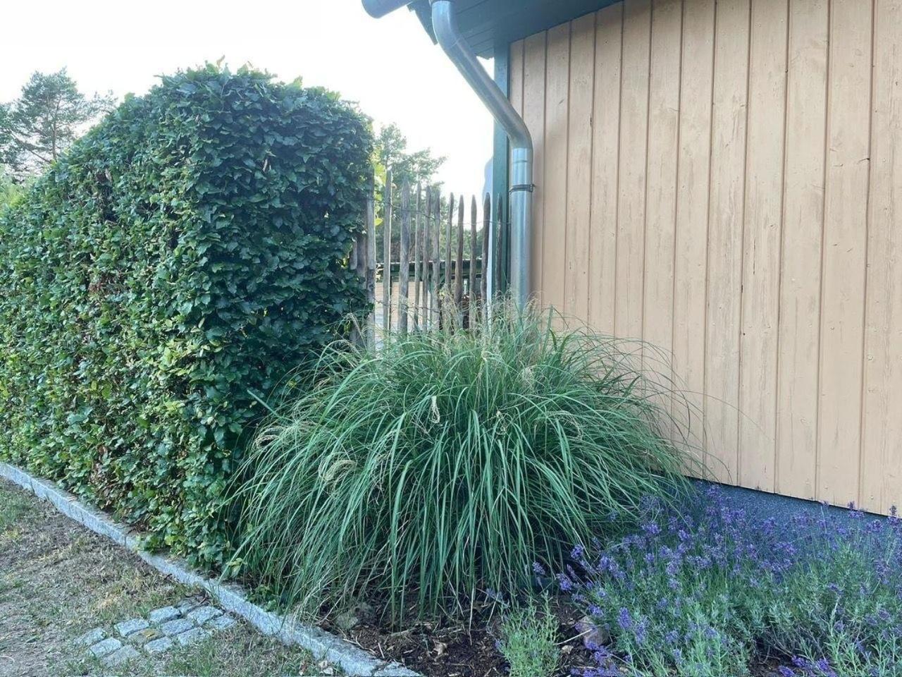 Ferienhaus am Plauer See
