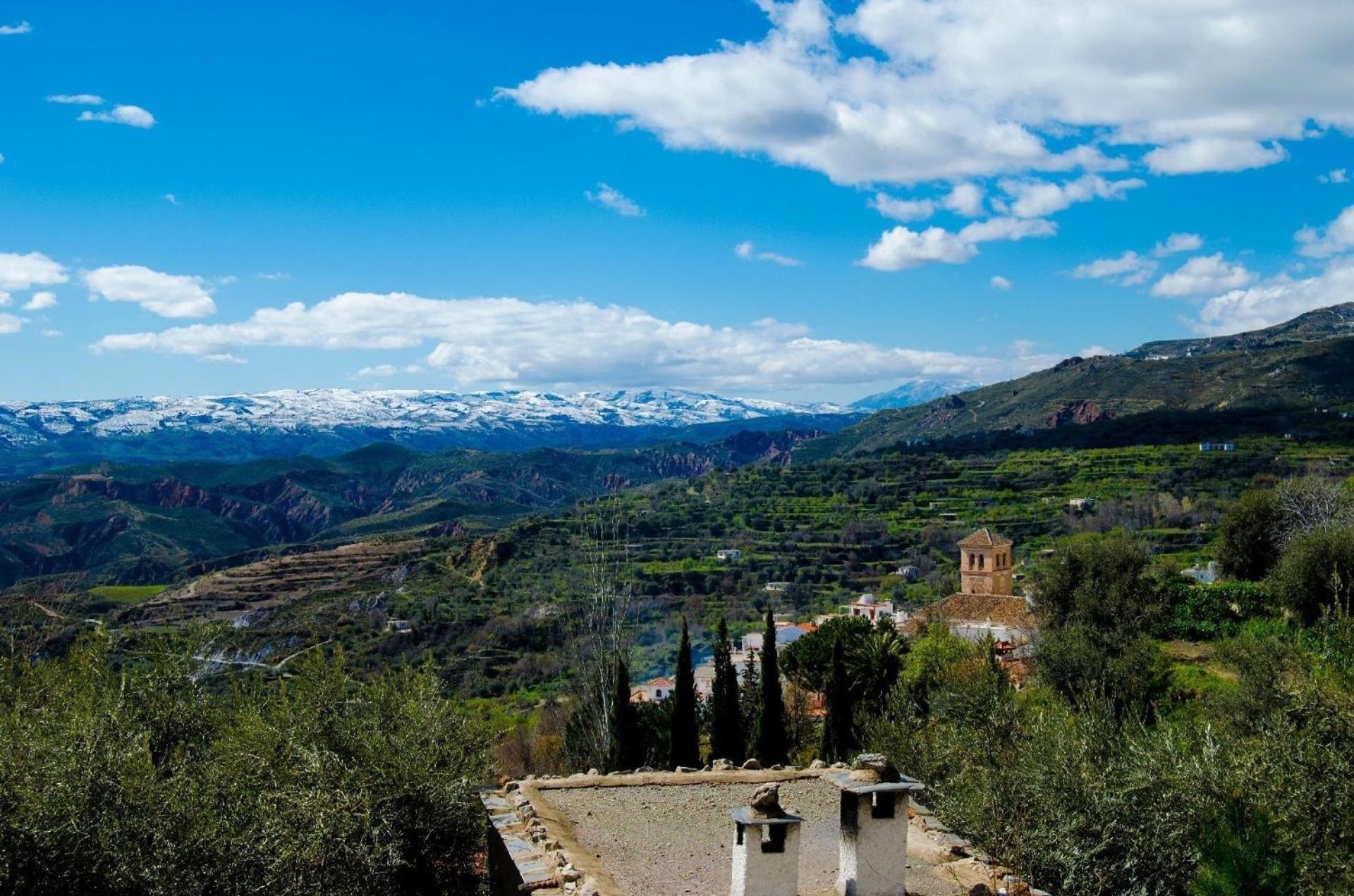 Casa Núm 8 view 5