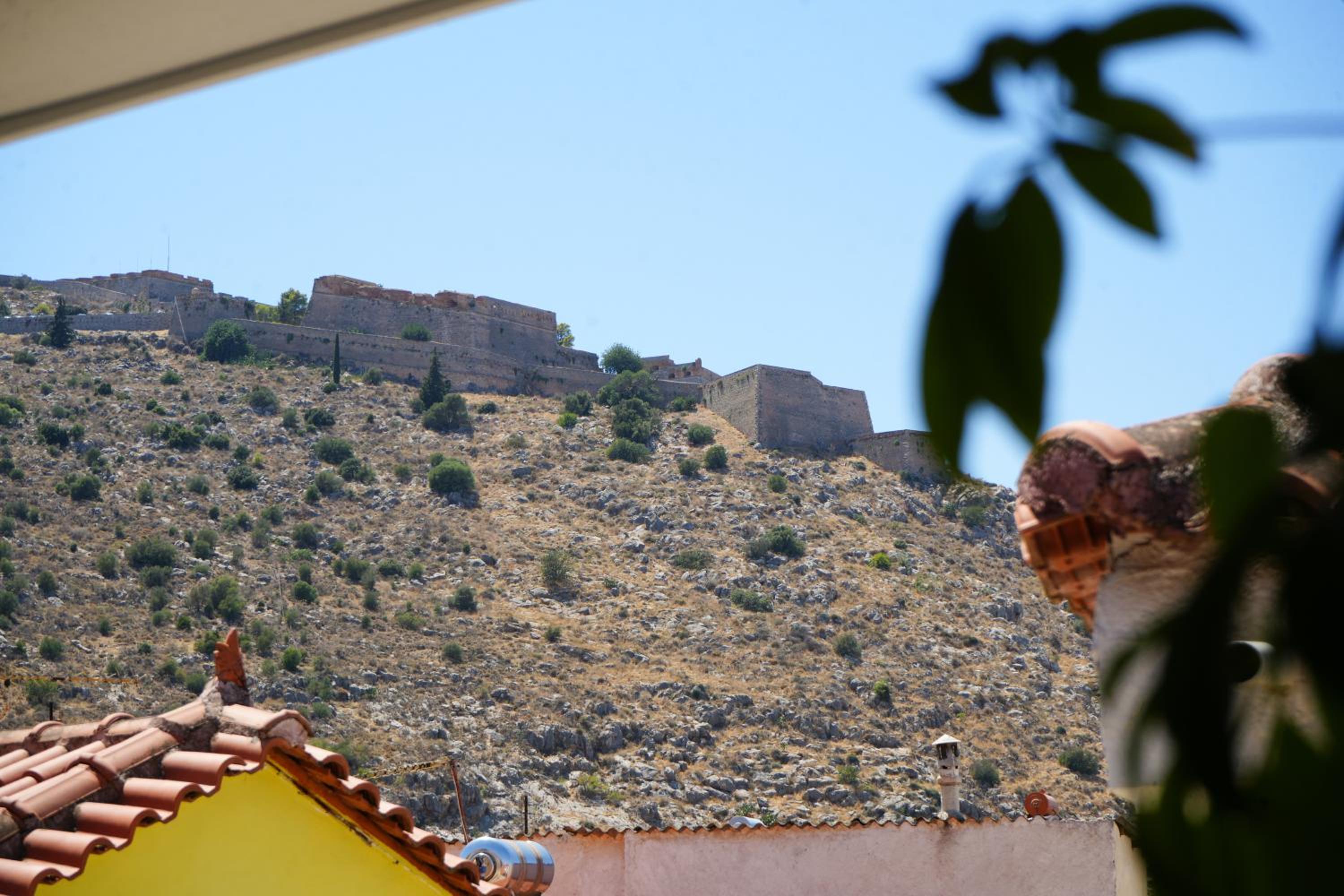 Photo 43