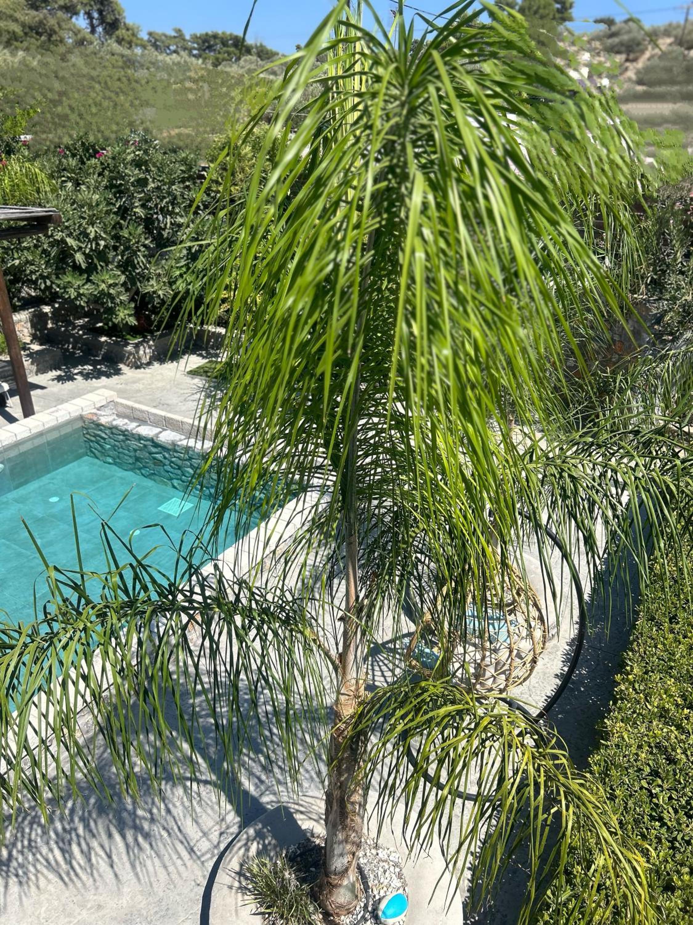 Aithonas Villa photo 4