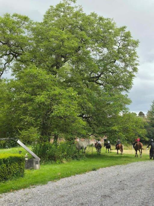 Chateau de Wallay - La grande Ferme