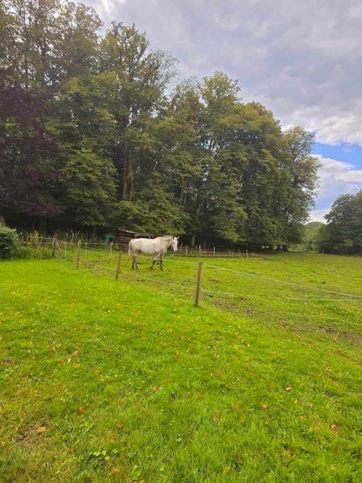 Chateau de Wallay - La grande Ferme