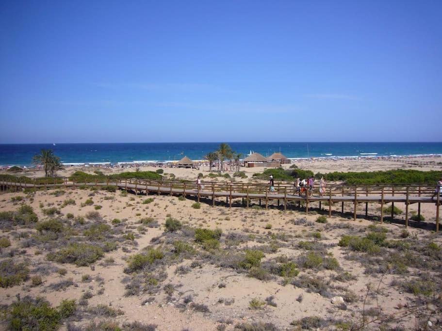 Best sea views in front of the beach view 5