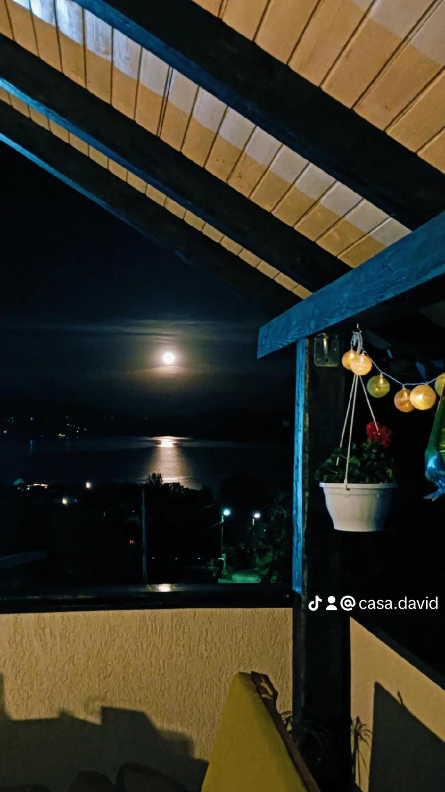 Casa David
