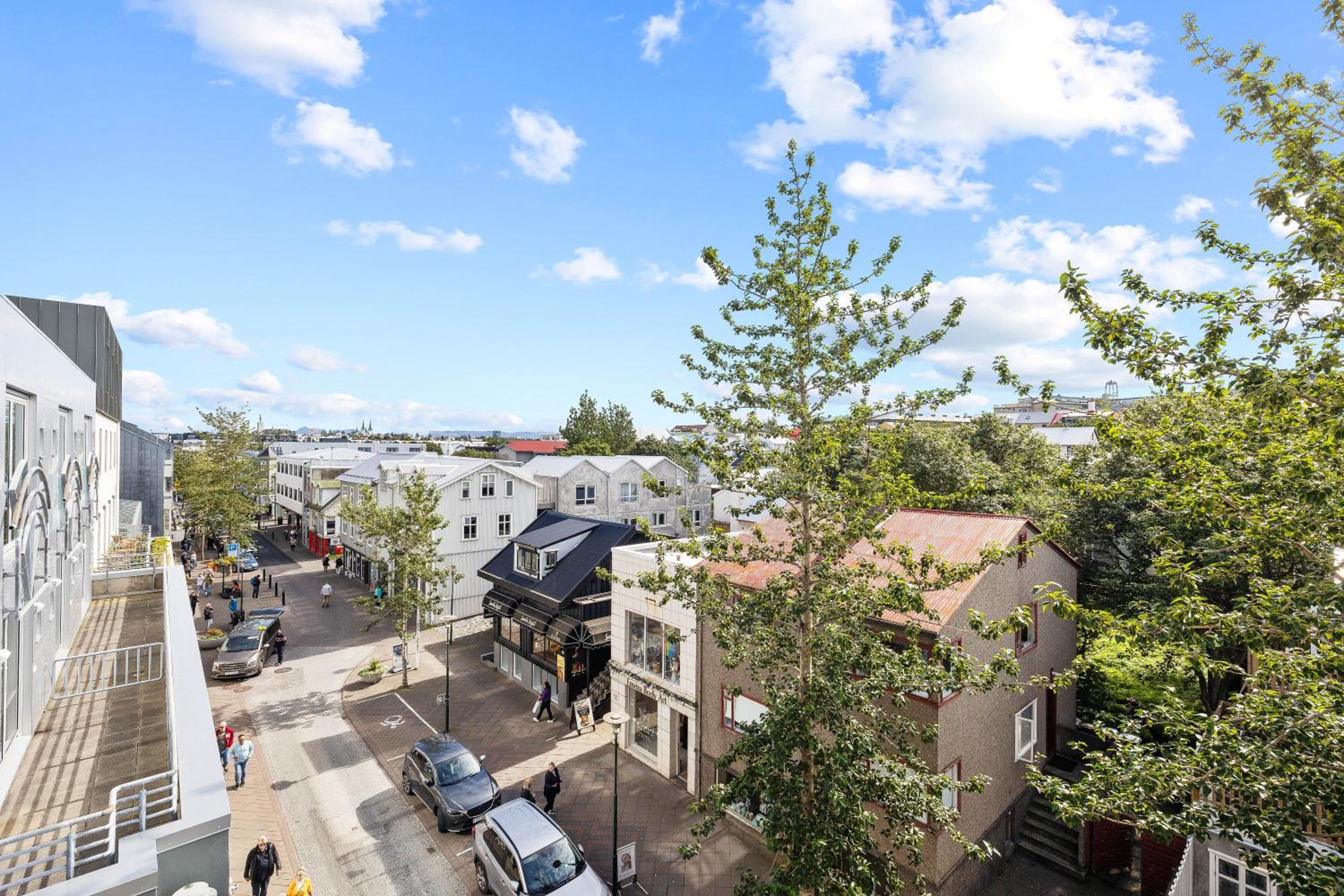 Epicenter Reykjavík Penthouse Apartment