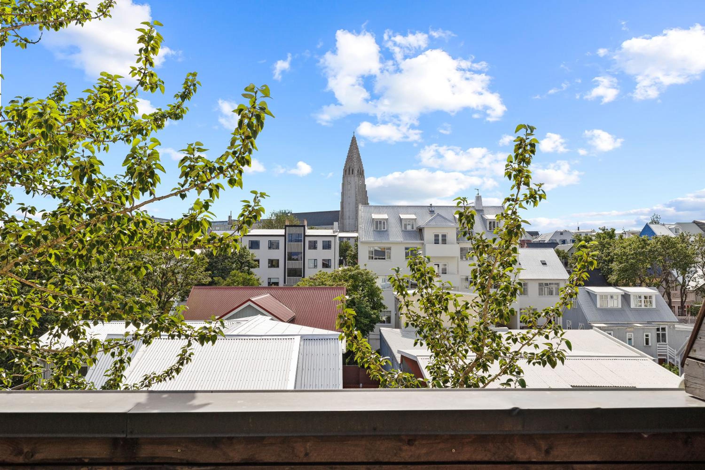 Epicenter Reykjavík Penthouse Apartment