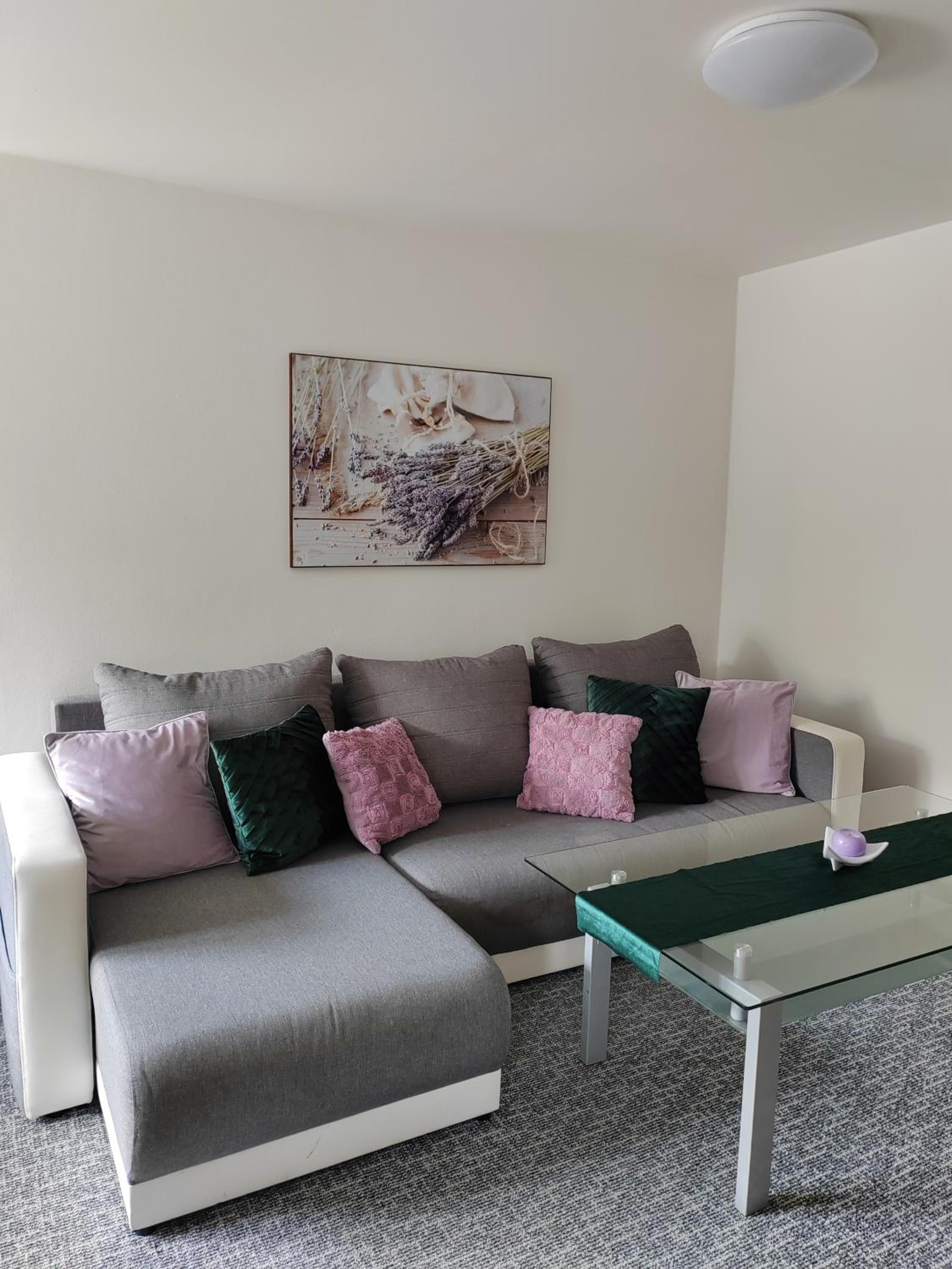 Apartments Merci