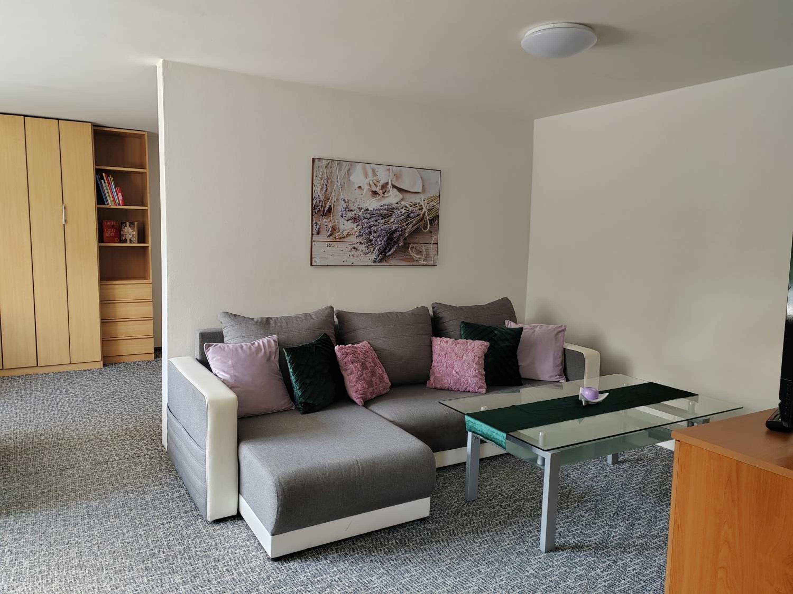 Apartments Merci