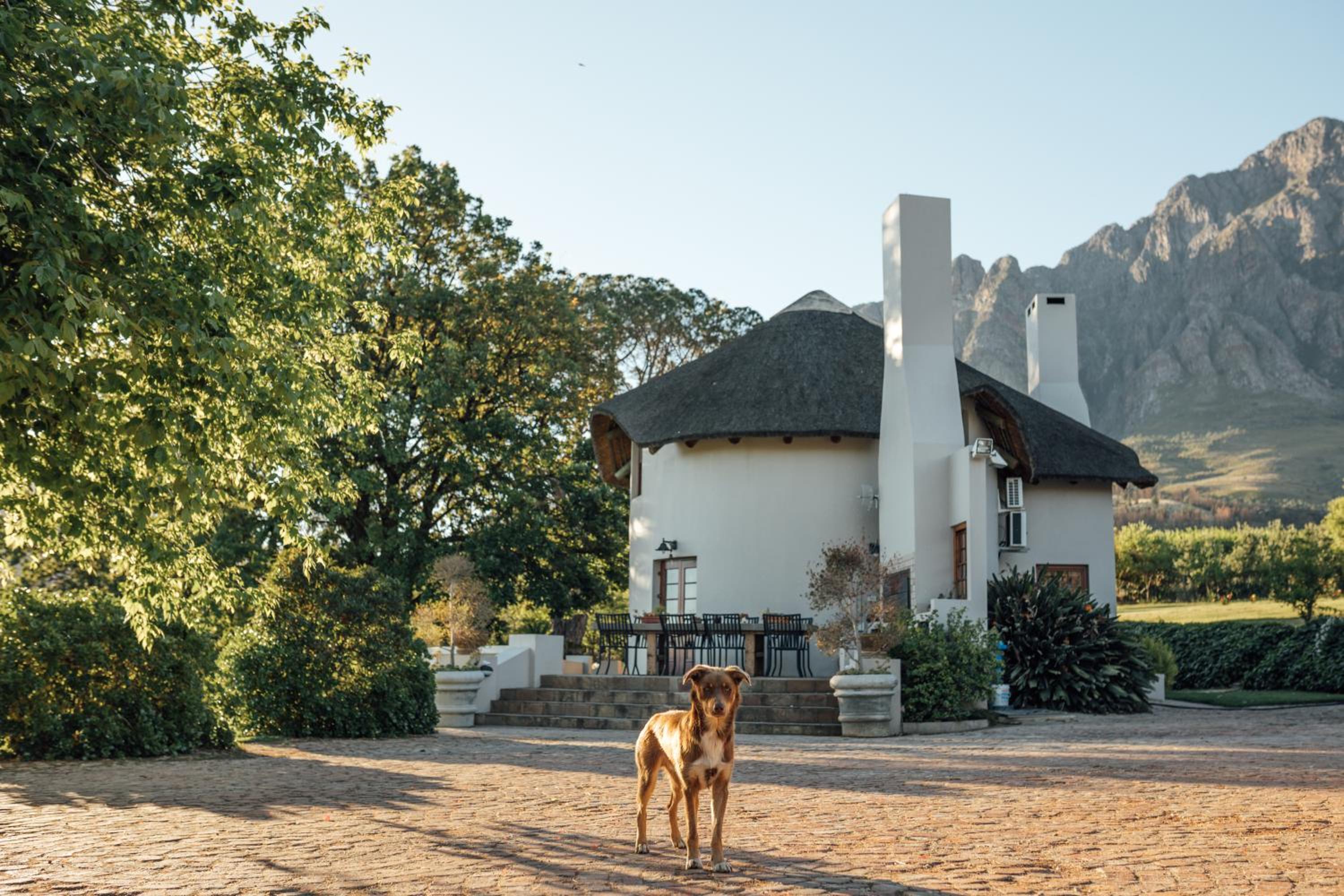 Mountain Manor