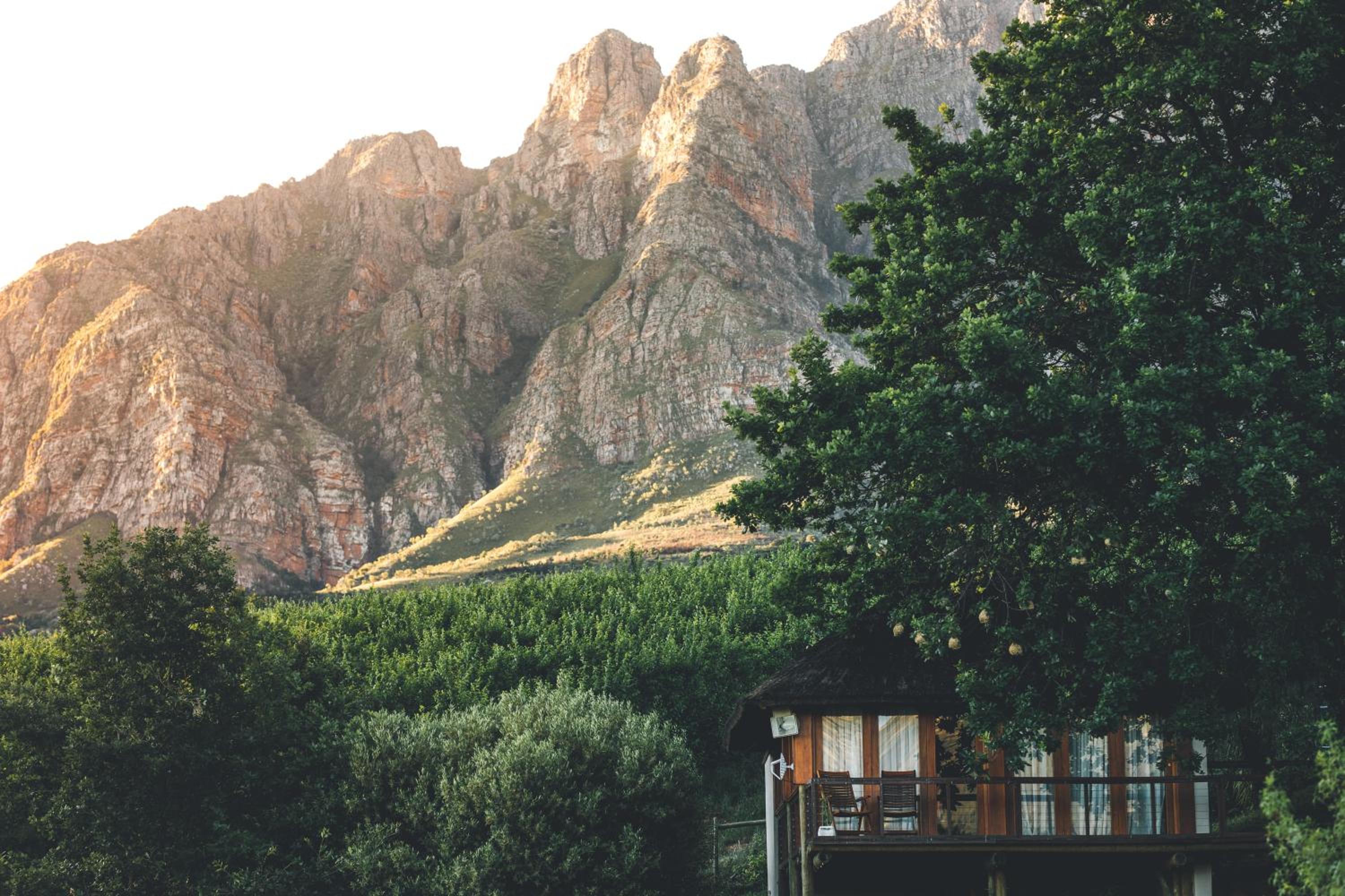 Mountain Manor