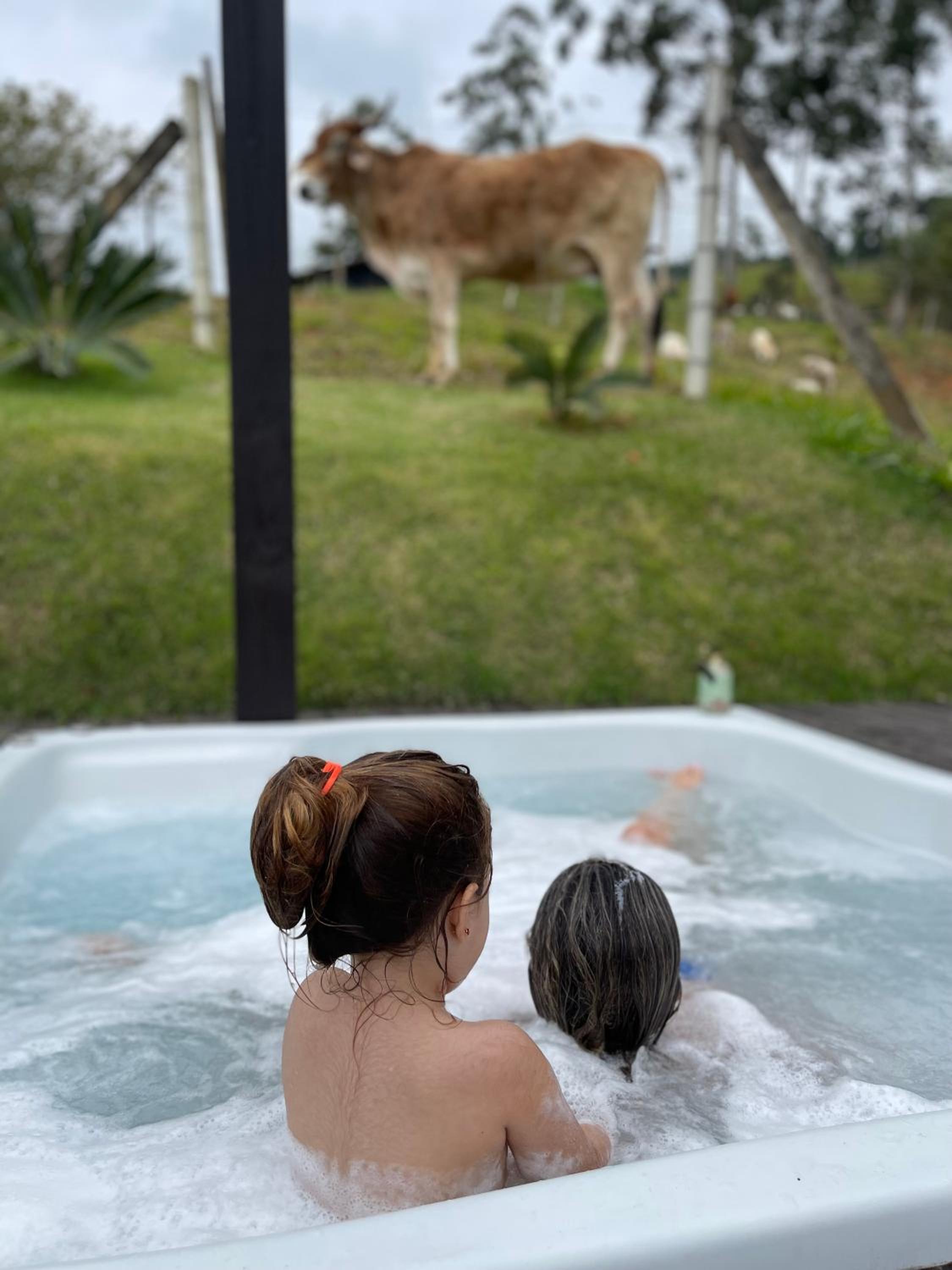 Chalé rural- hospedagem e experiência!