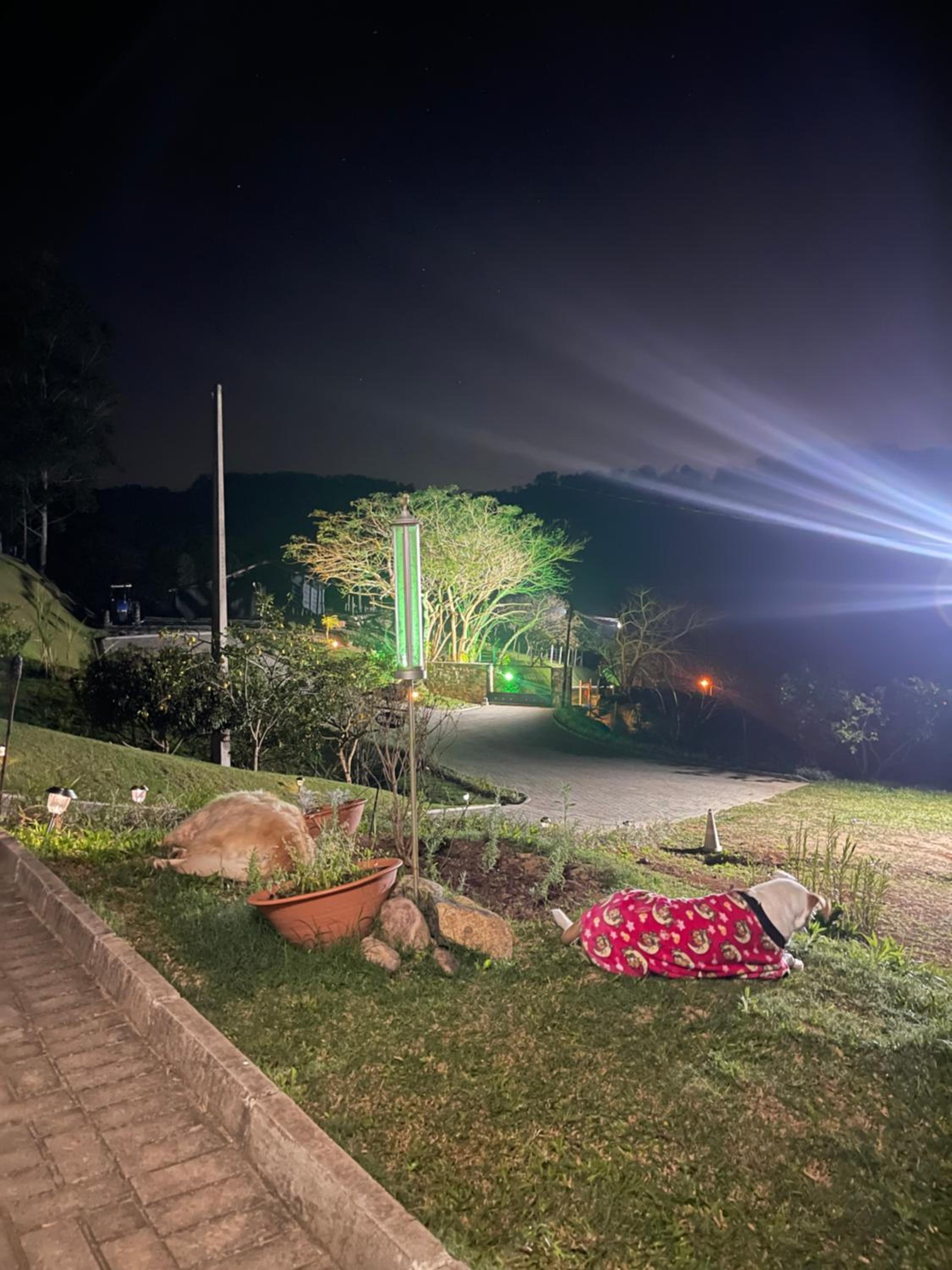 Chalé rural- hospedagem e experiência!