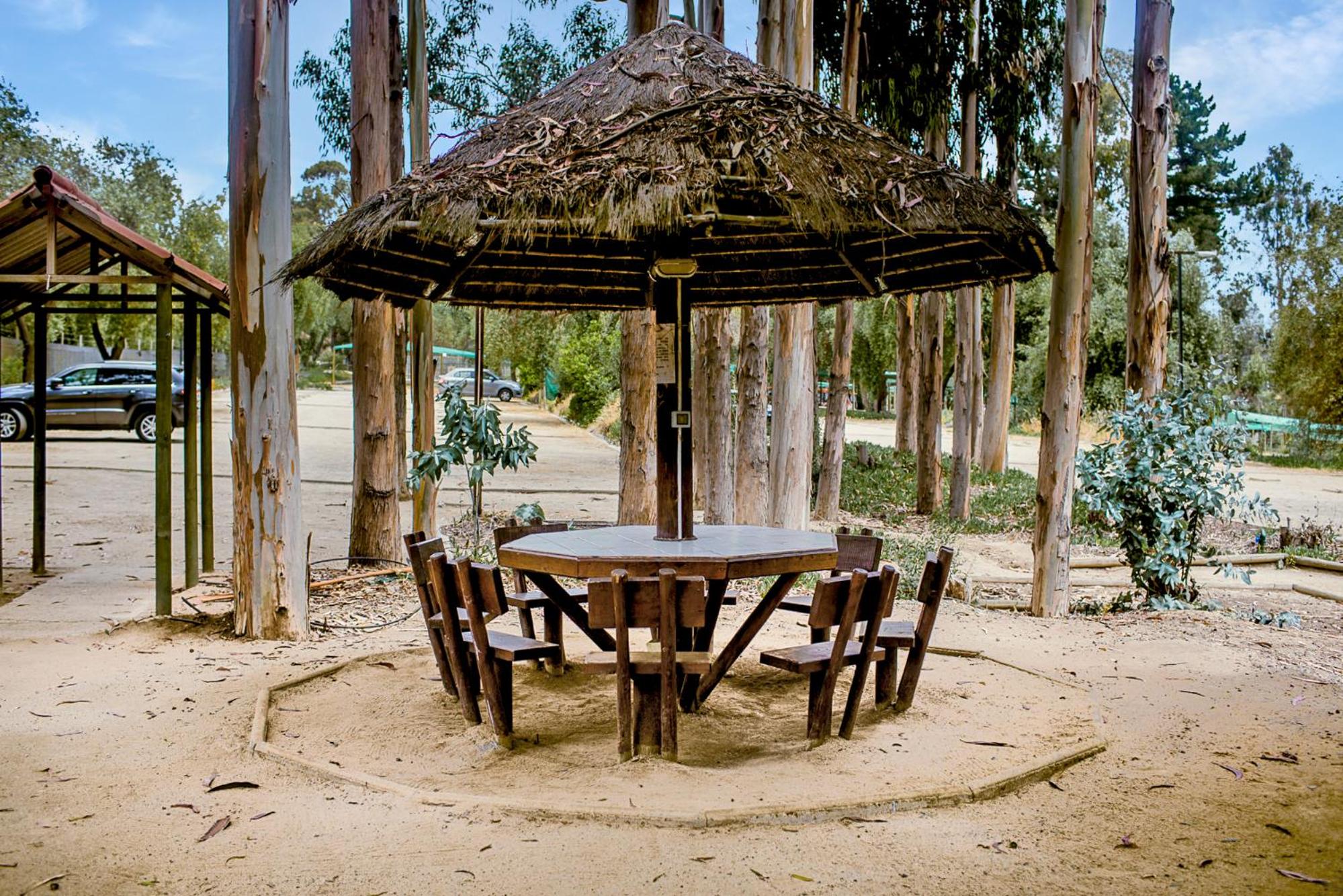 Depto Frente al Mar con Piscinas, Quincho, Jacuzzi y Sauna