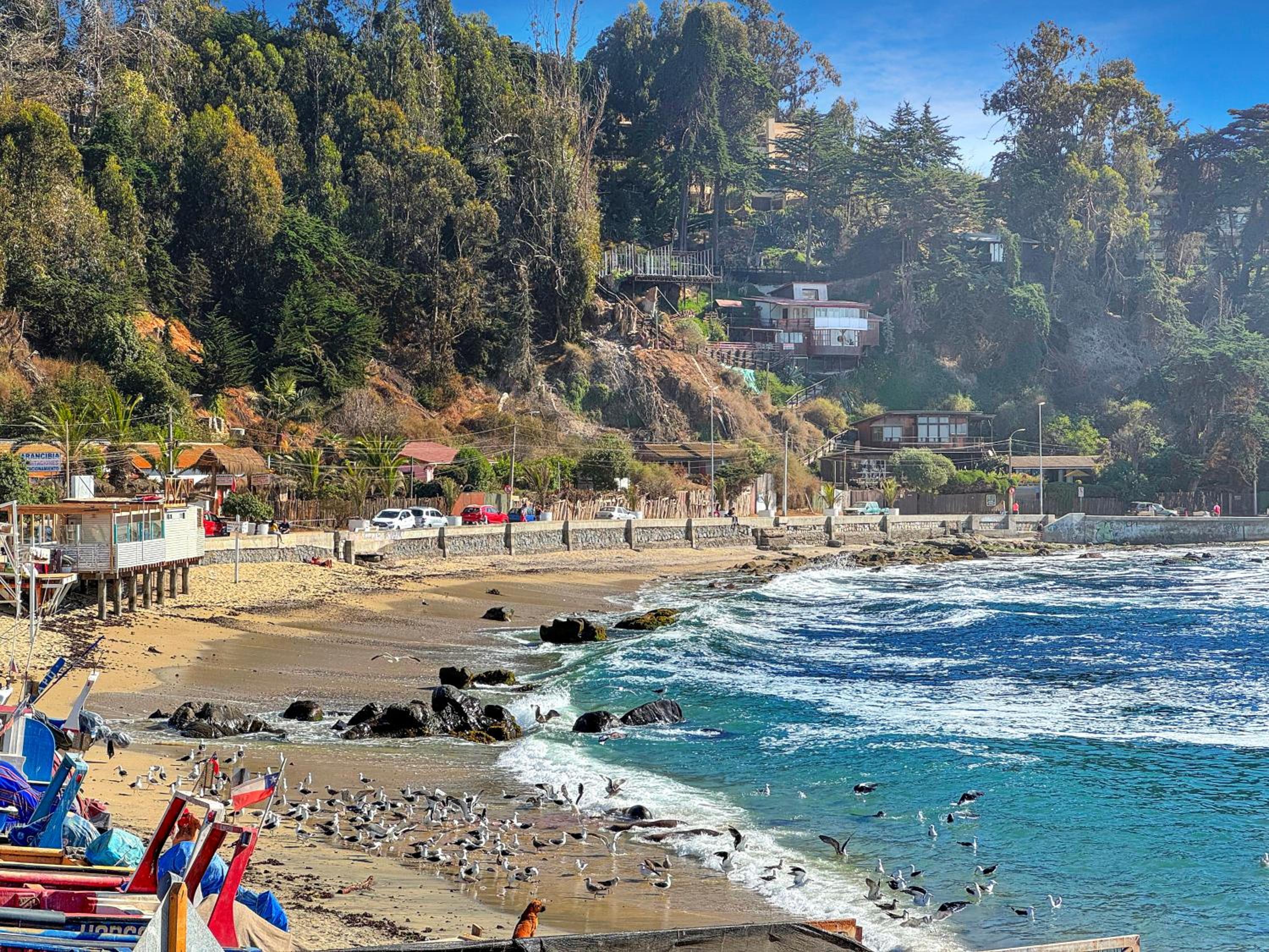 Depto Frente al Mar con Piscinas, Quincho, Jacuzzi y Sauna