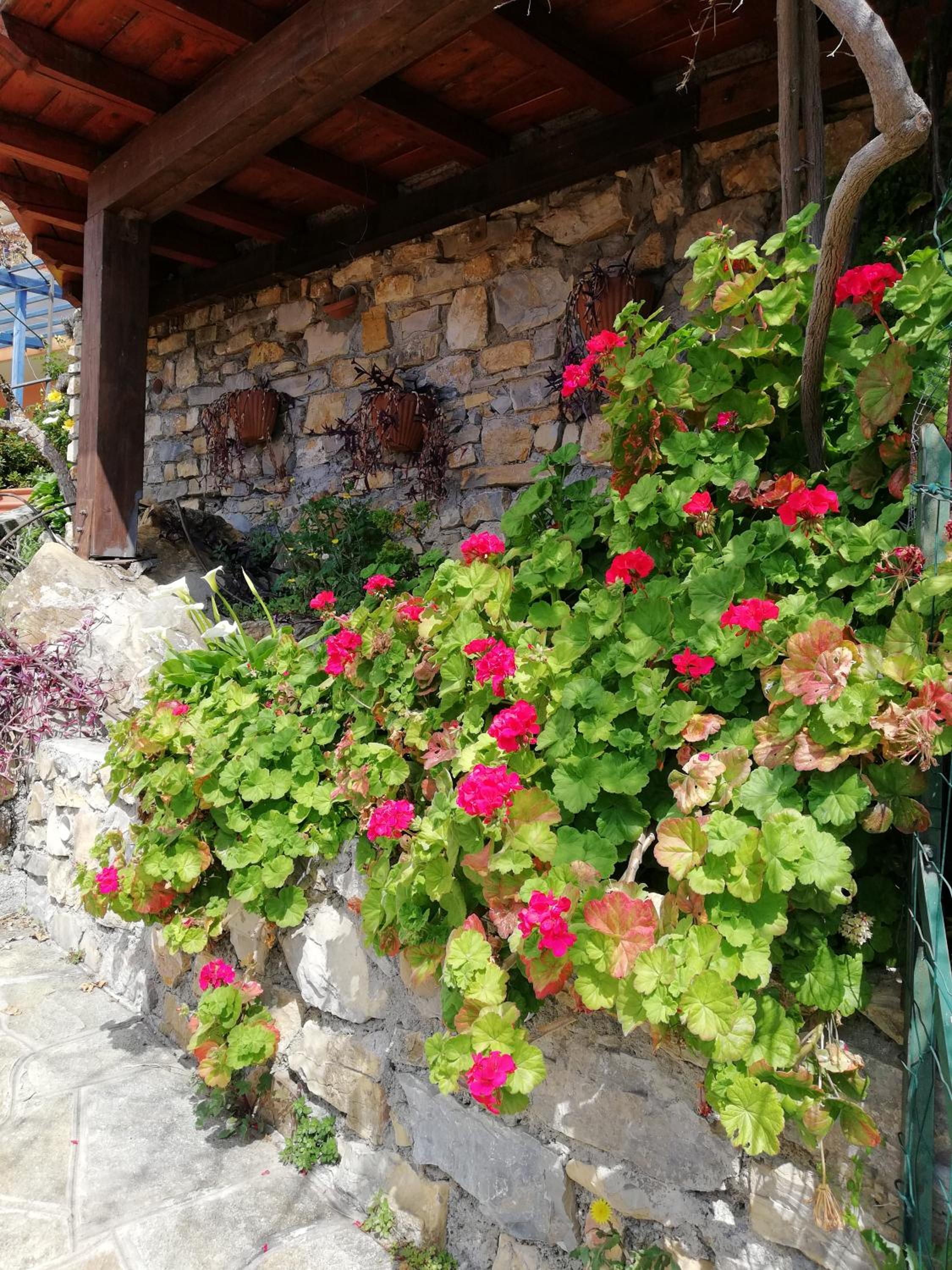 B&B La Mimosa del Golfo