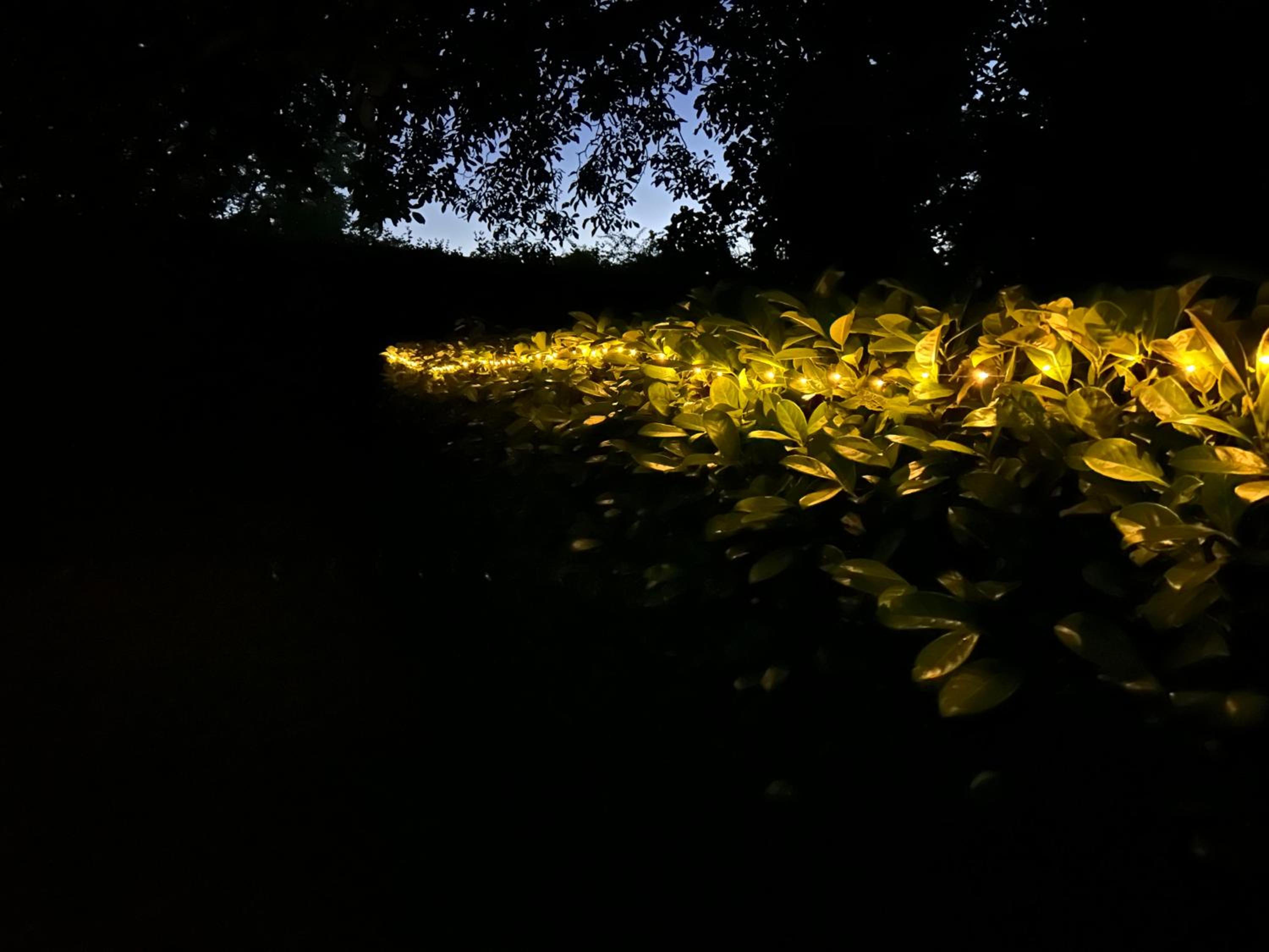 L Escale Nature