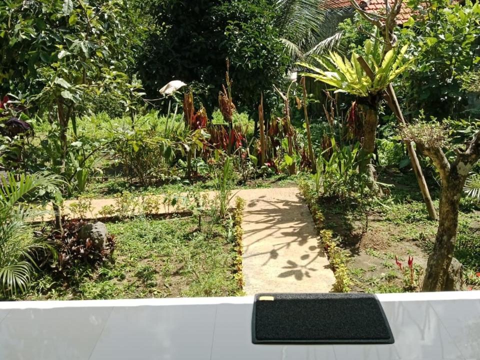 Photo 22
