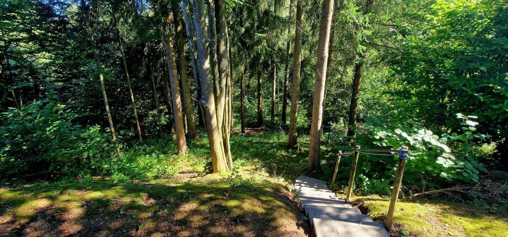 Eifel Residence 3