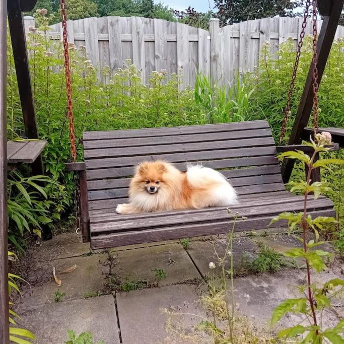 Ruhe und Entspannung in Haus und Garten