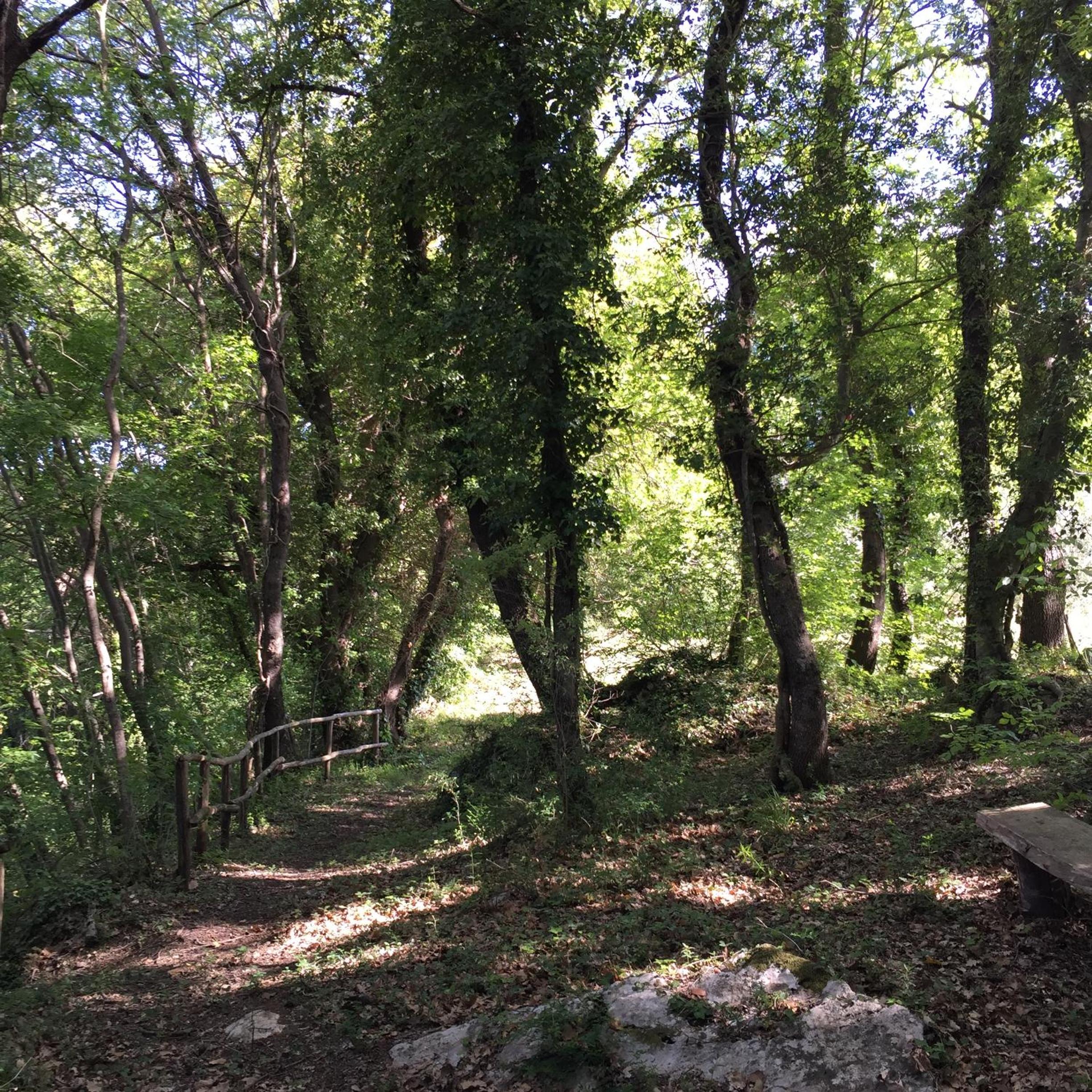 Photo 16