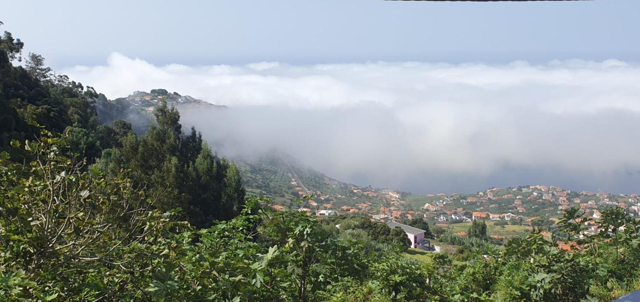 Casa Avós & Netas, Fantastic View, Near the Nature! view 3