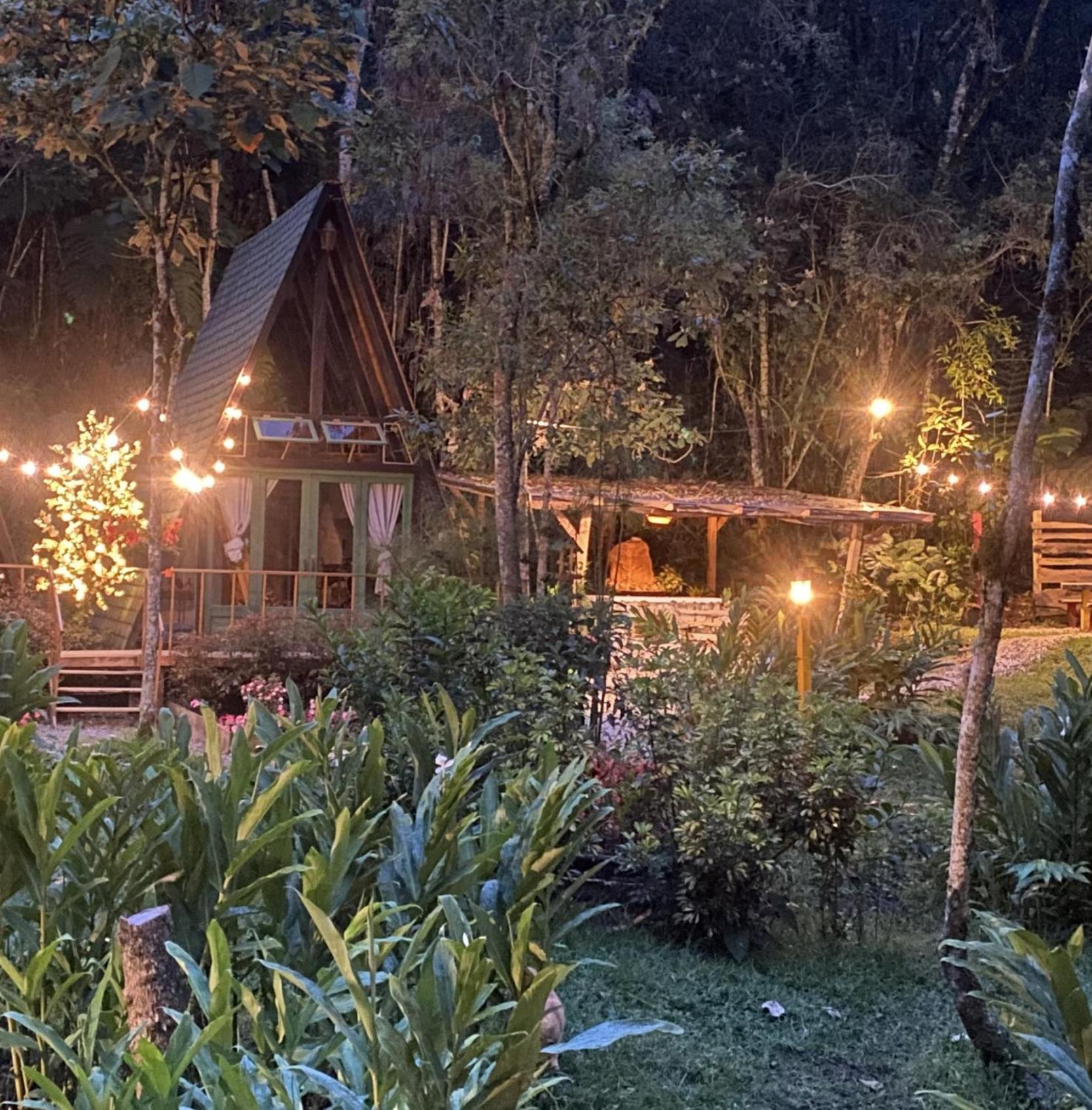 Chapola Home