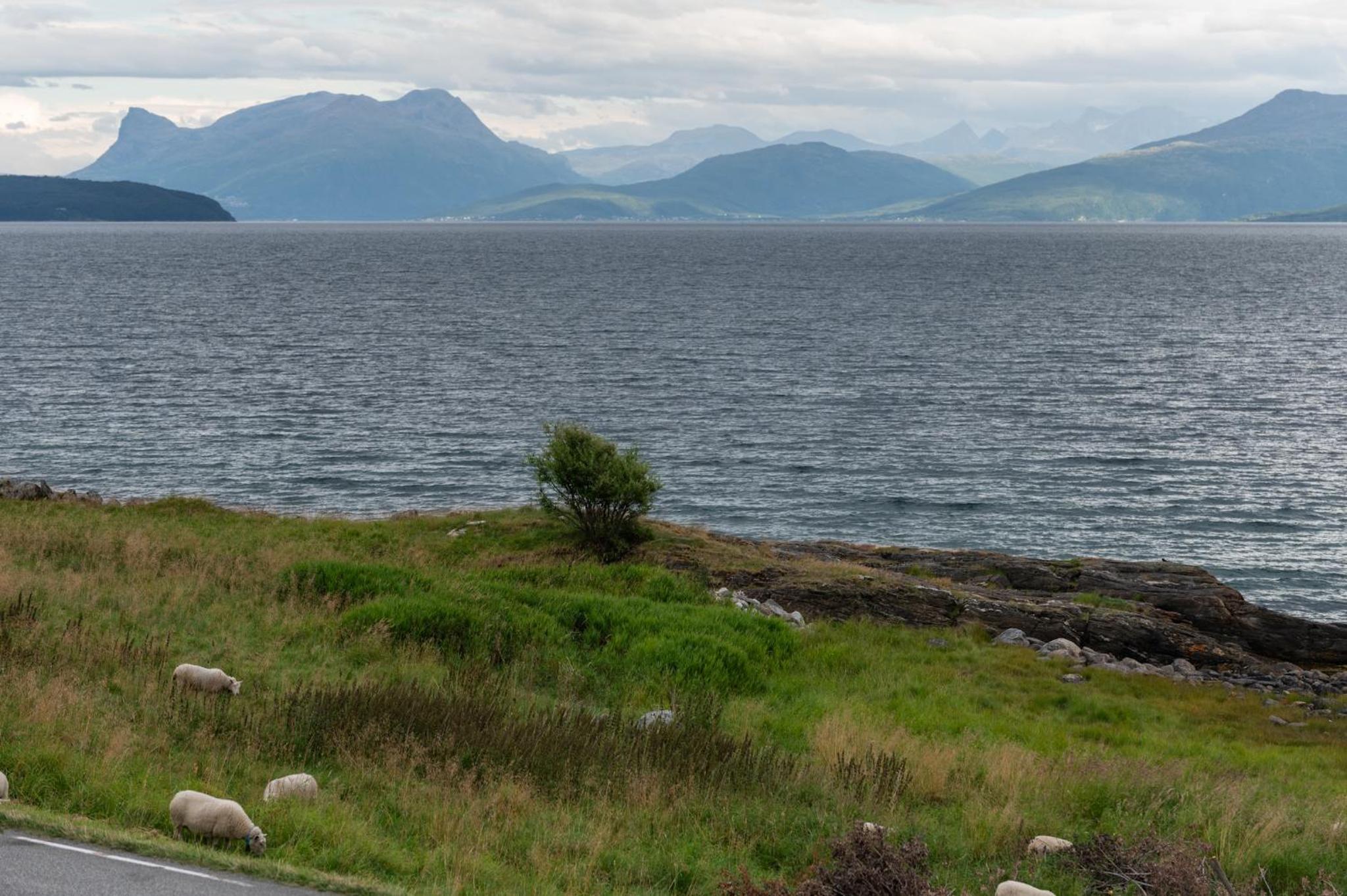 Evenes Artic glamping