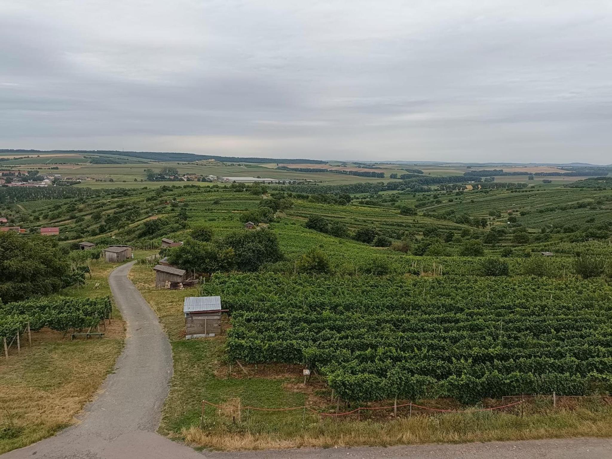 Sklípek pod vinohrady Mutěnice - rychlá WIFI