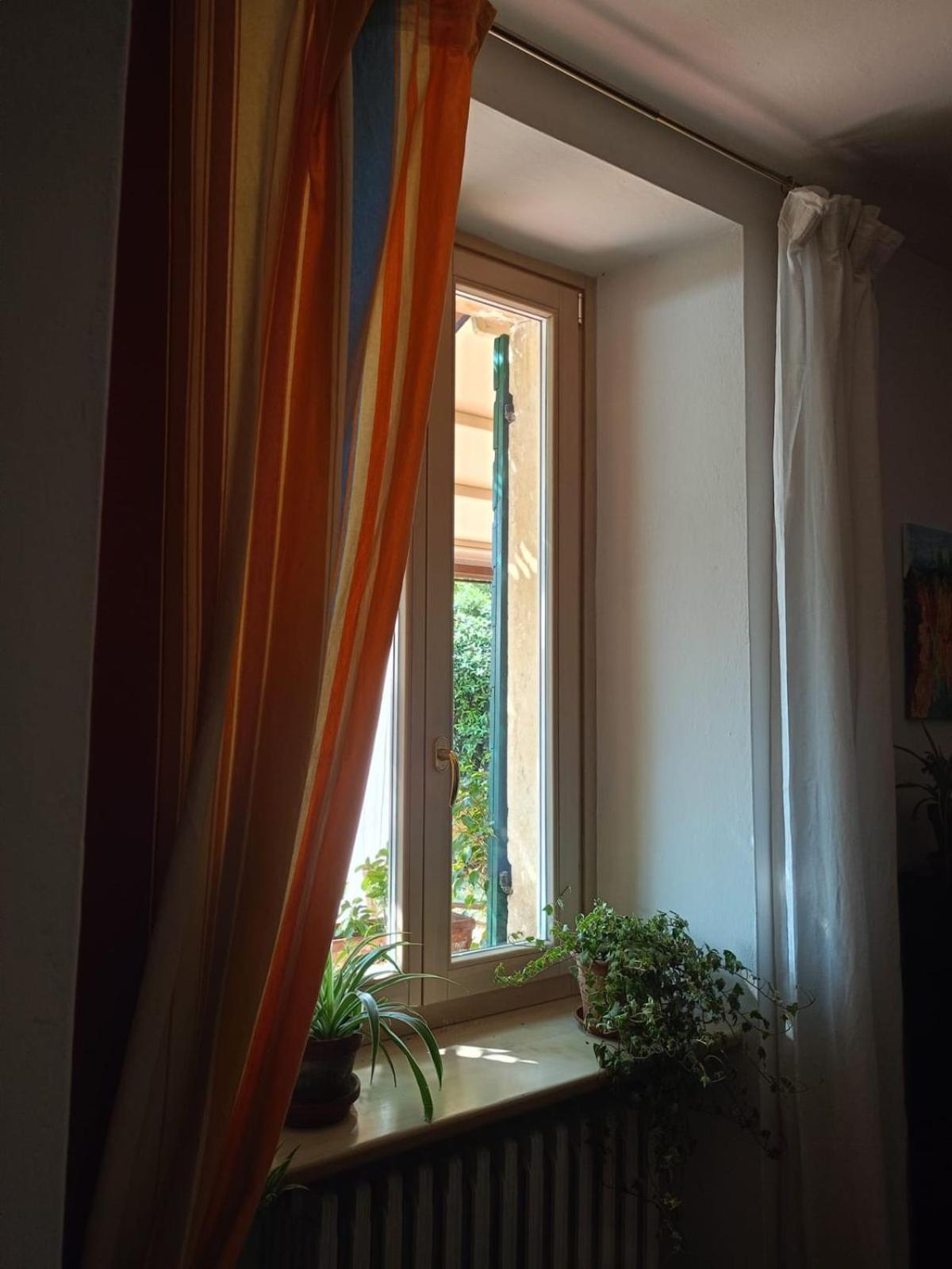 Photo 34