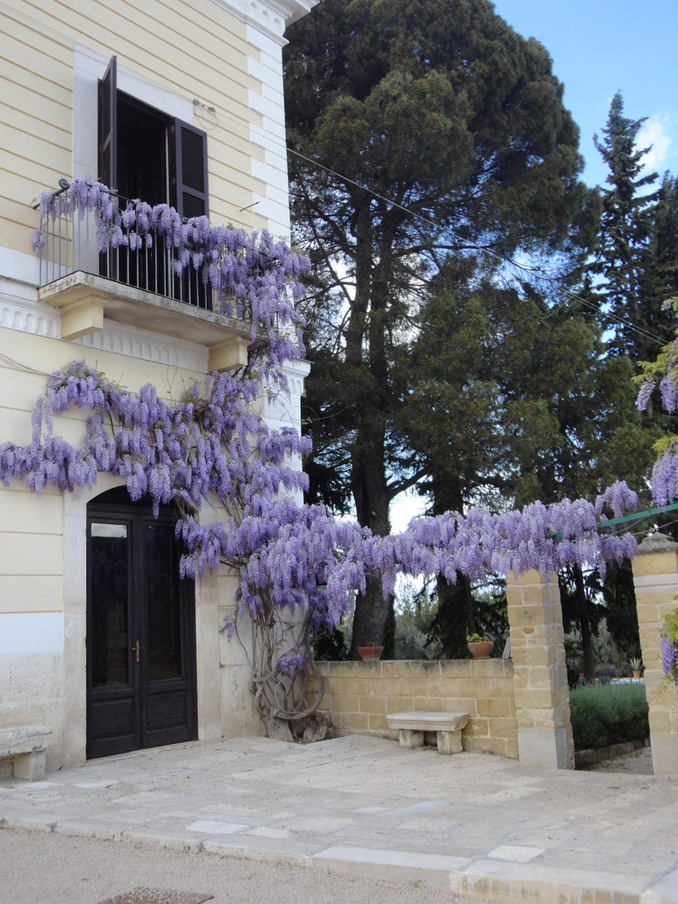 Cefalicchio B&B