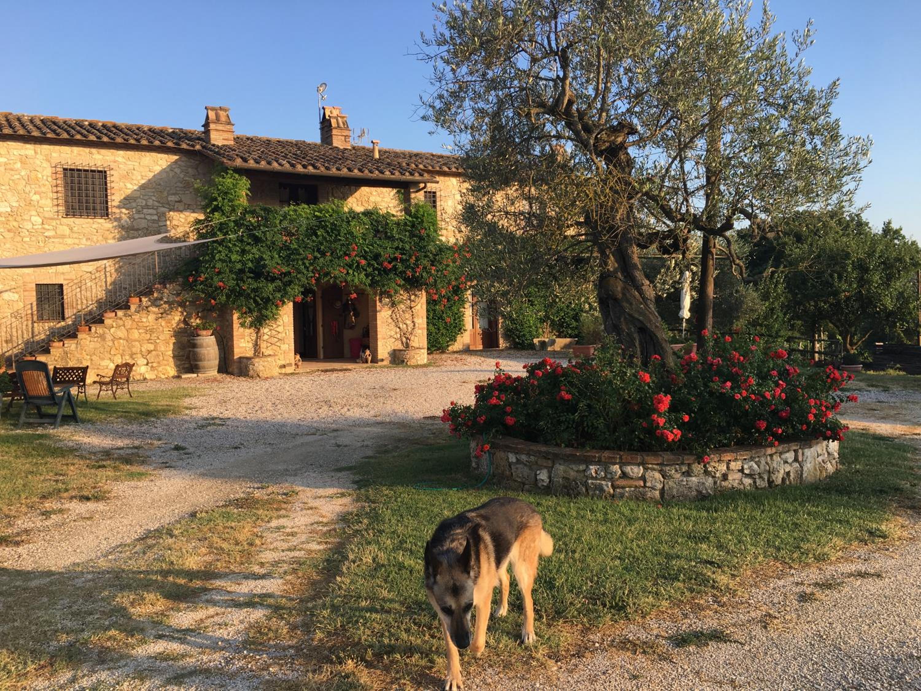 Agriturismo Podere dell' Olmo view 2