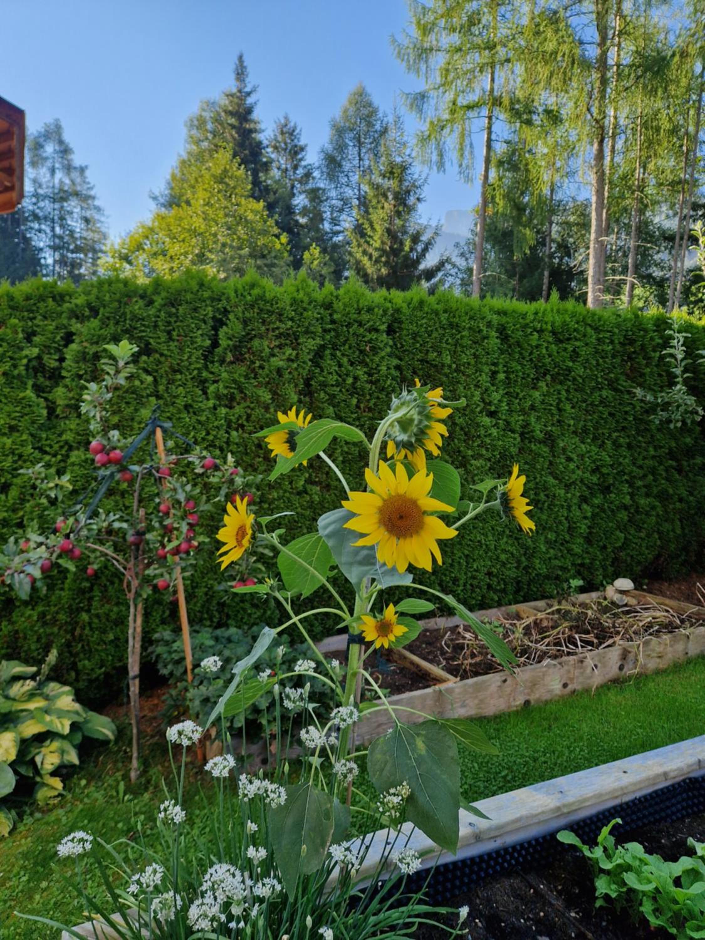 Haus Roland view 5