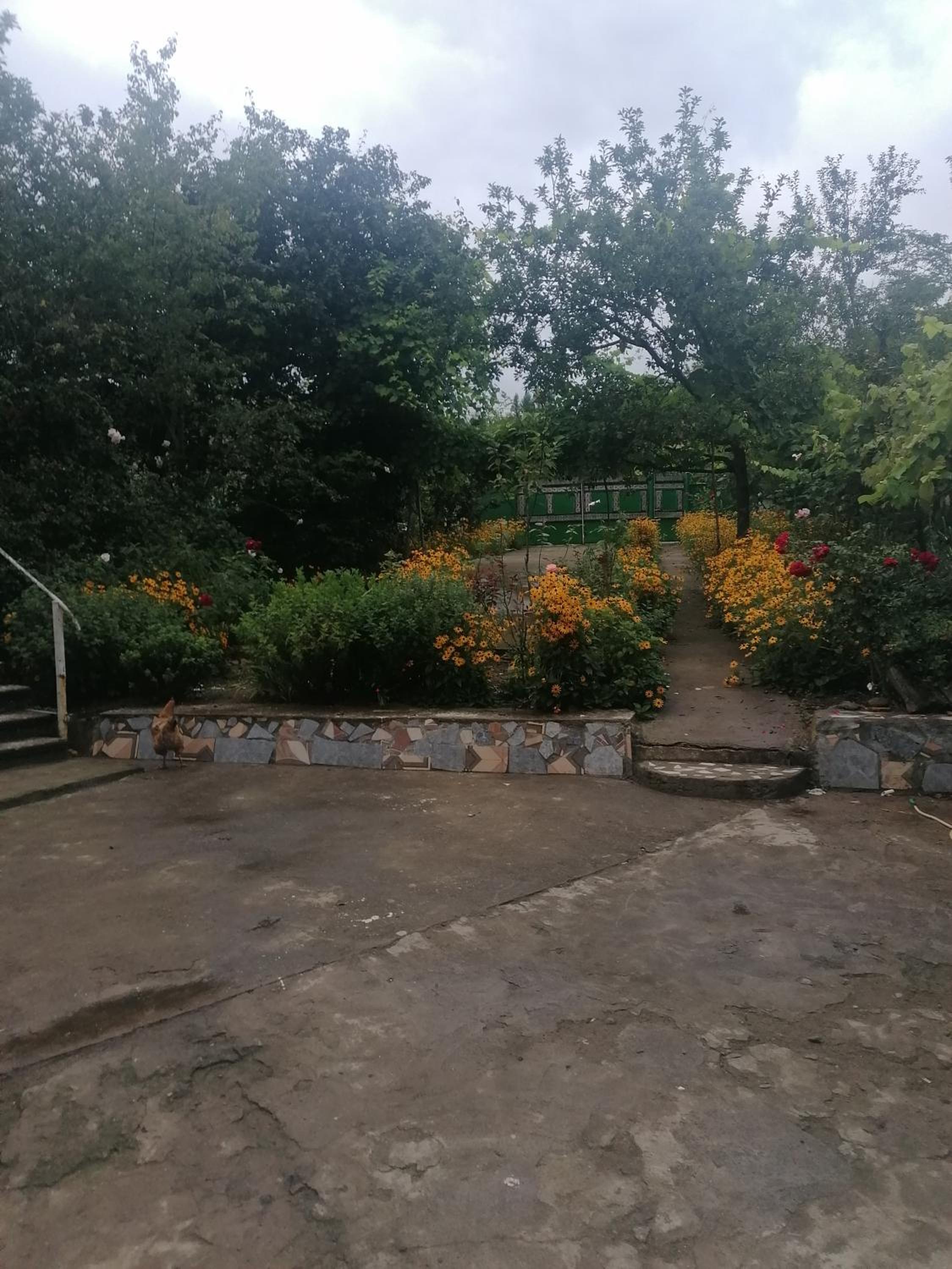 Photo 20