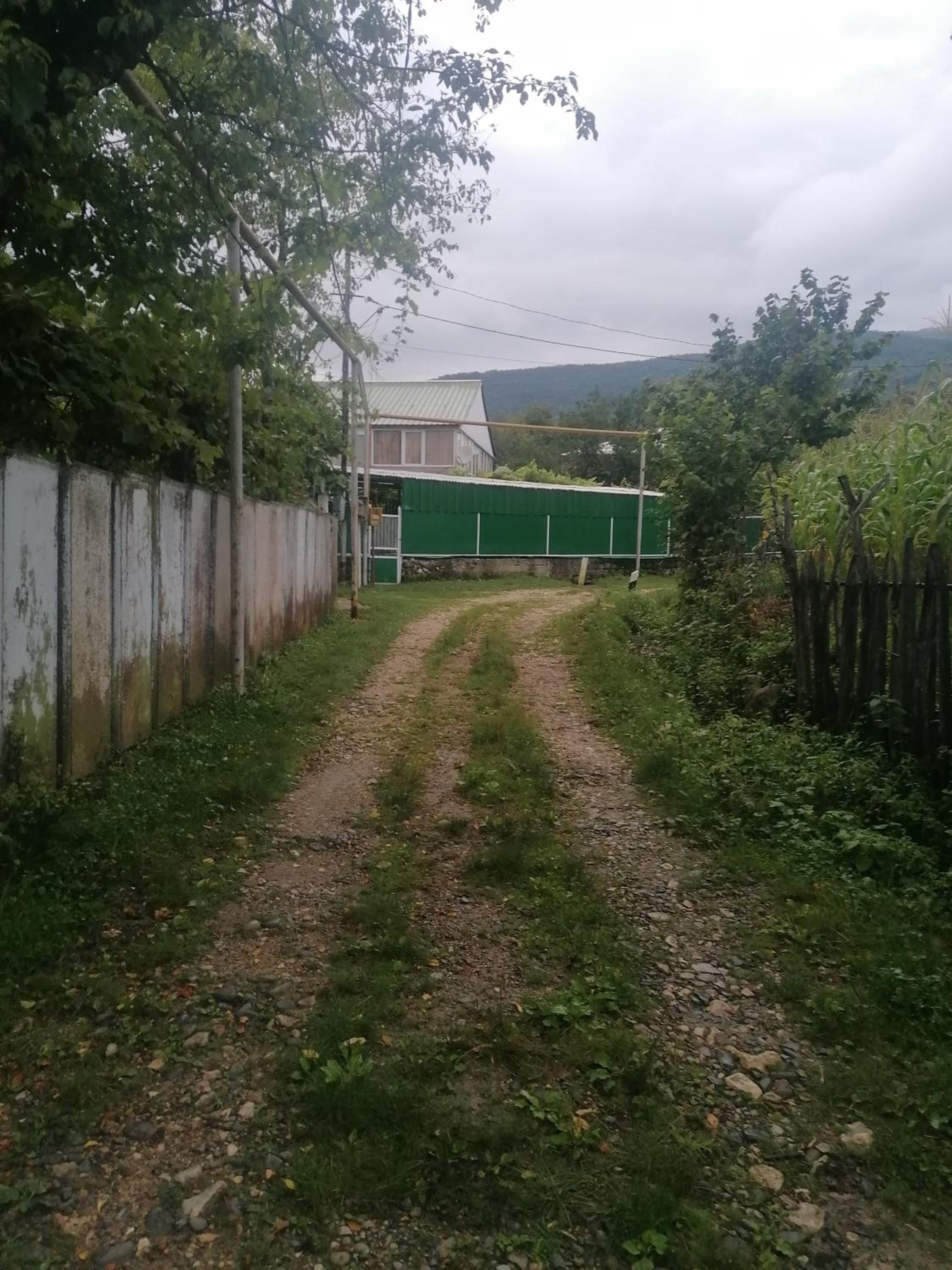Photo 29