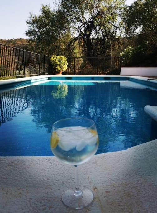 Luxury 'Pool level' Apartment - Comares