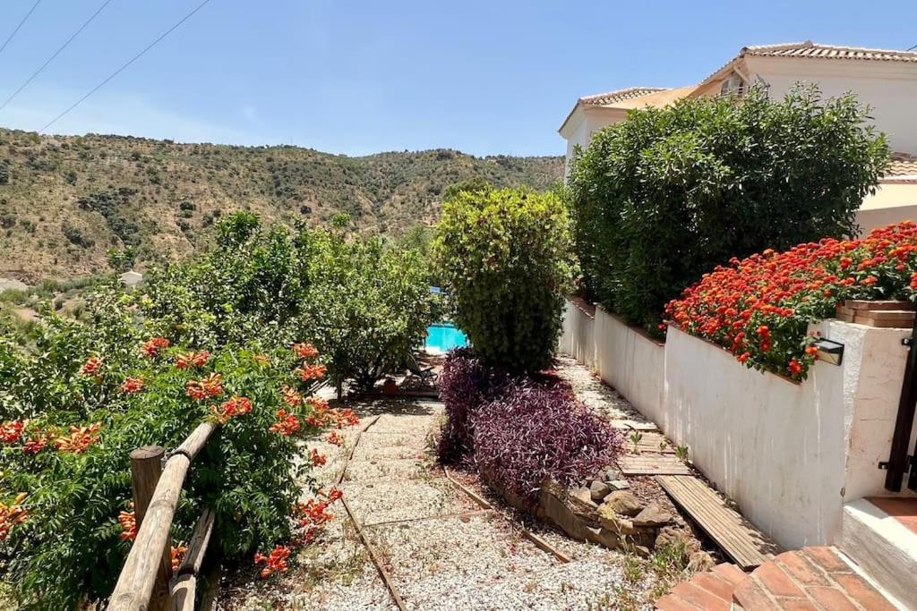Luxury 'Pool level' Apartment - Comares