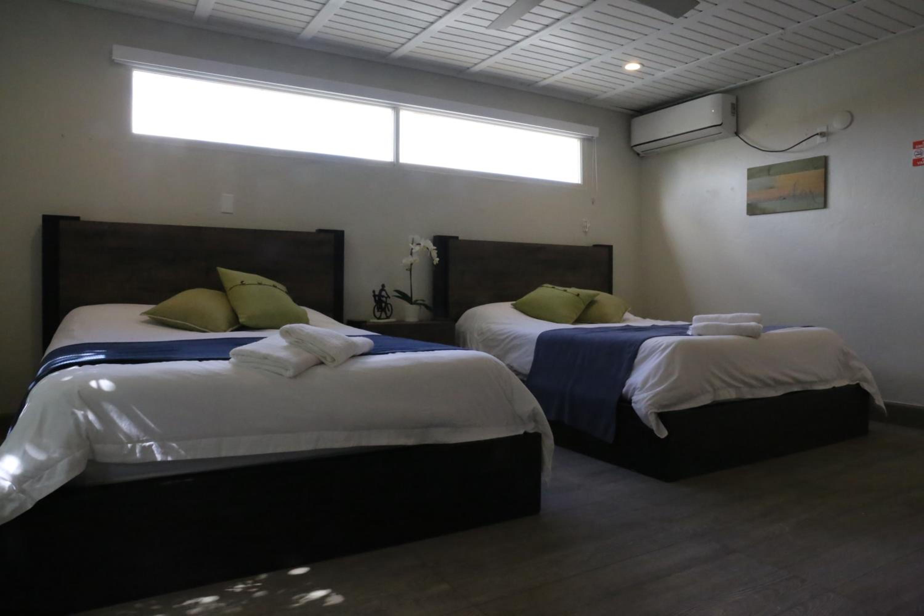 Aloe B&B