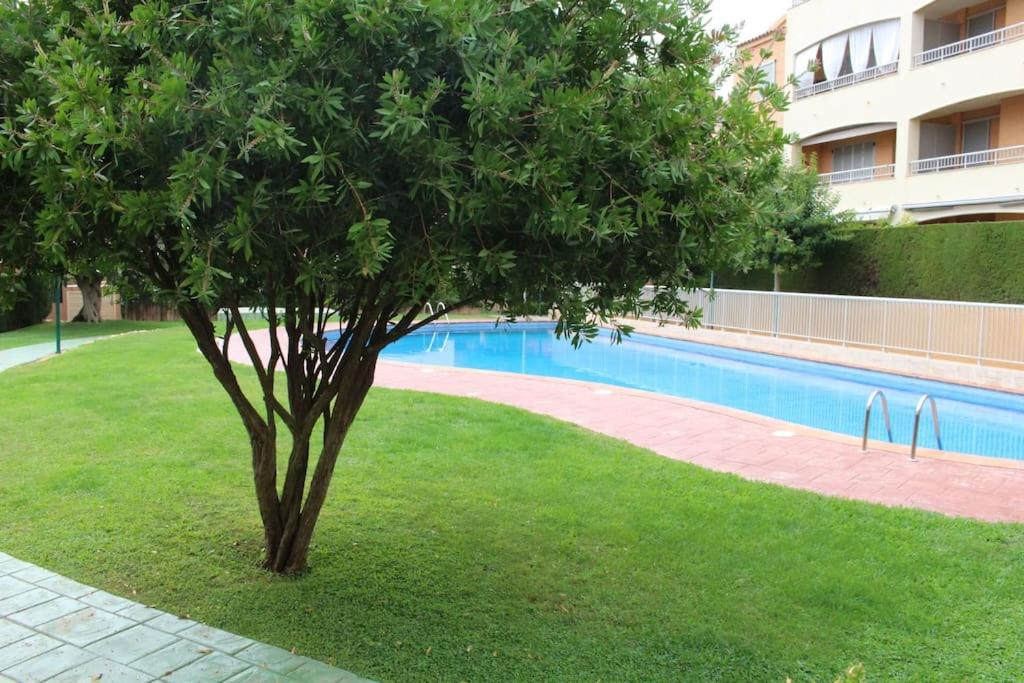 Marina St Jordi Bajos gran terraza, piscina 6 personas photo 5