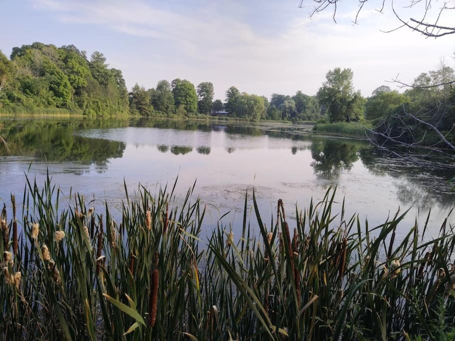Cottage on the Pond