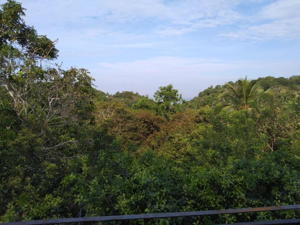 P&P Luxury Villas view 4