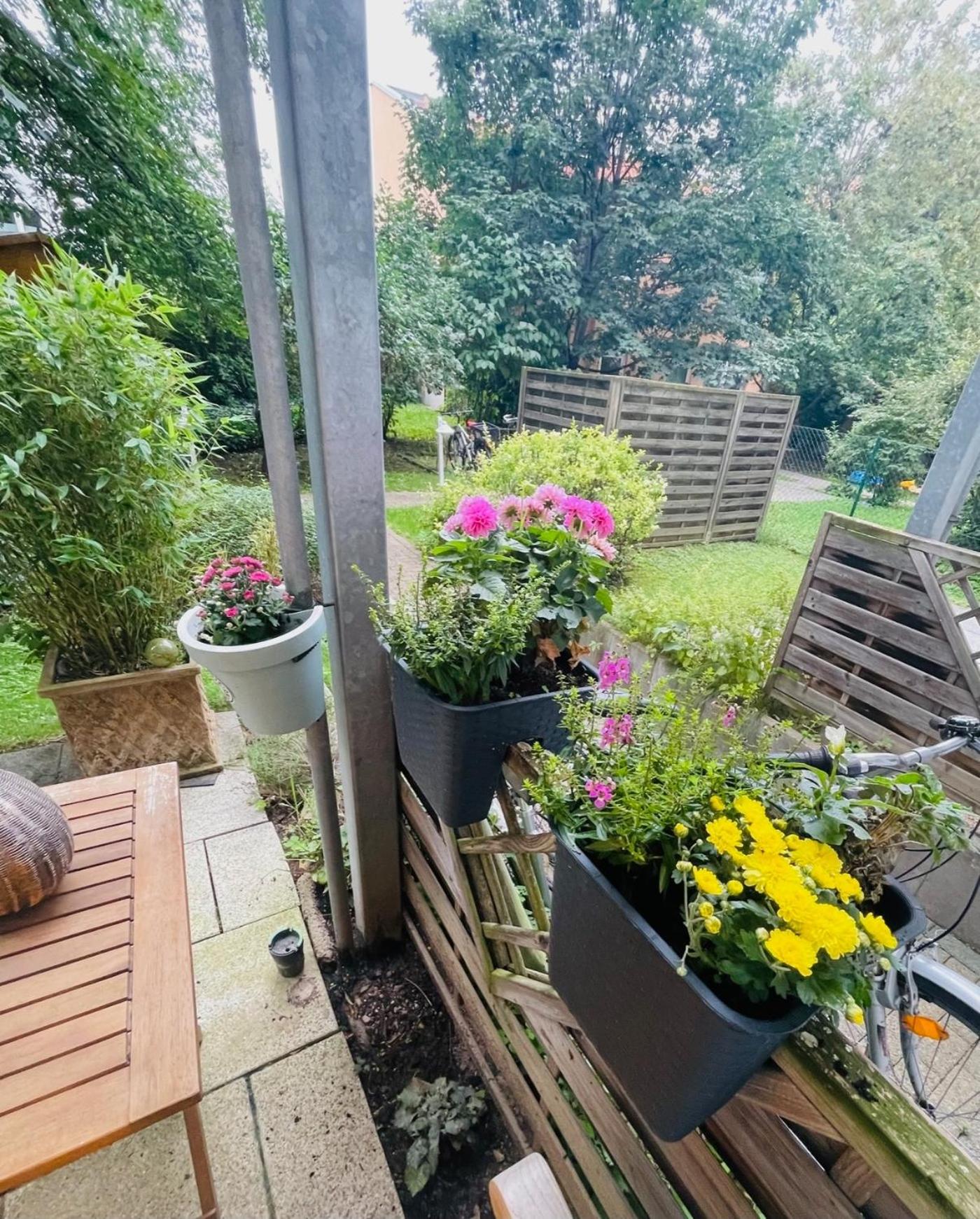 Photo 19