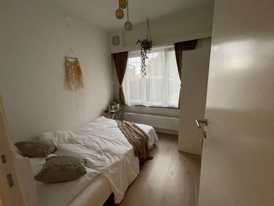 E&L Appartement