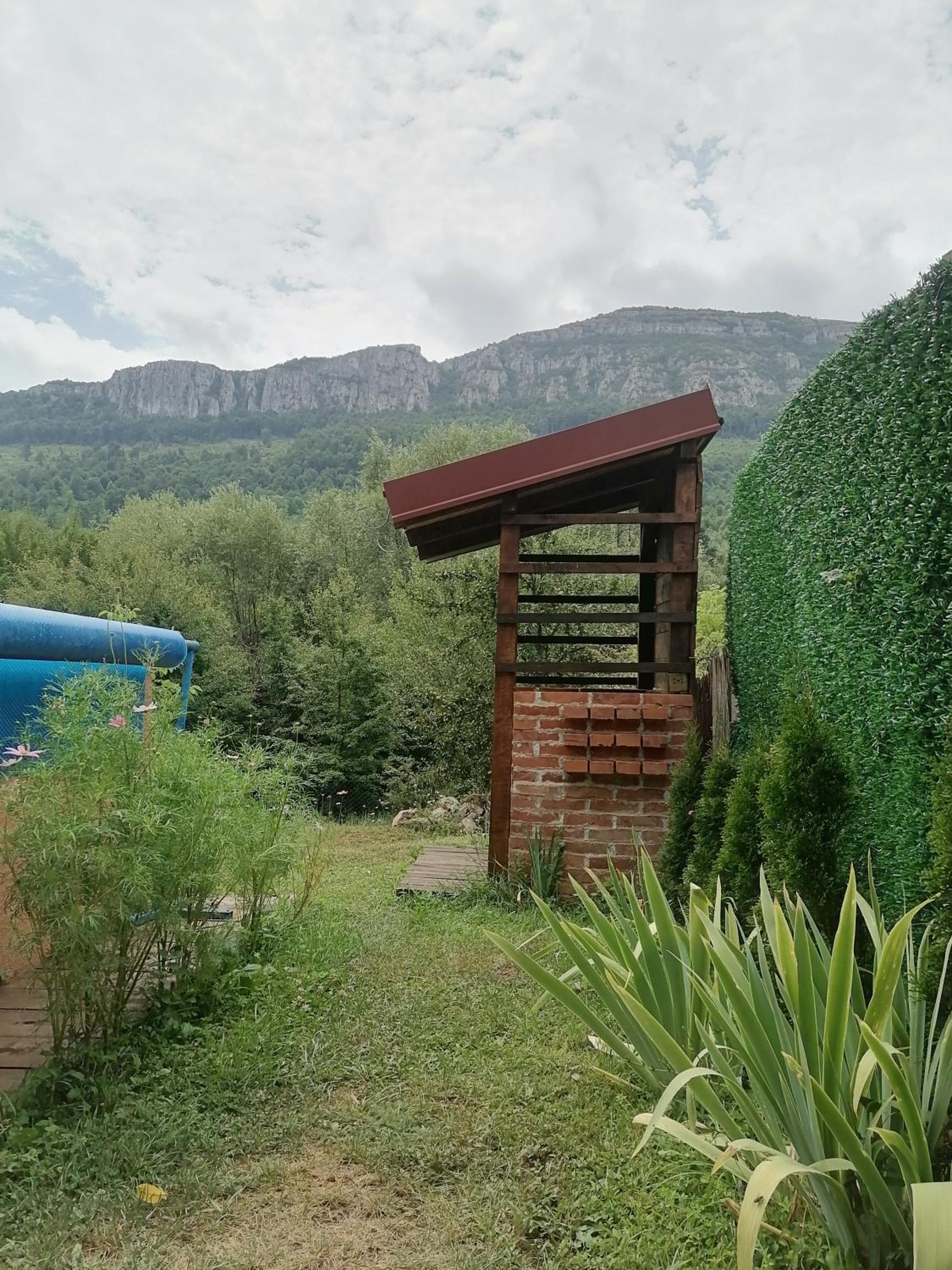 Photo 23