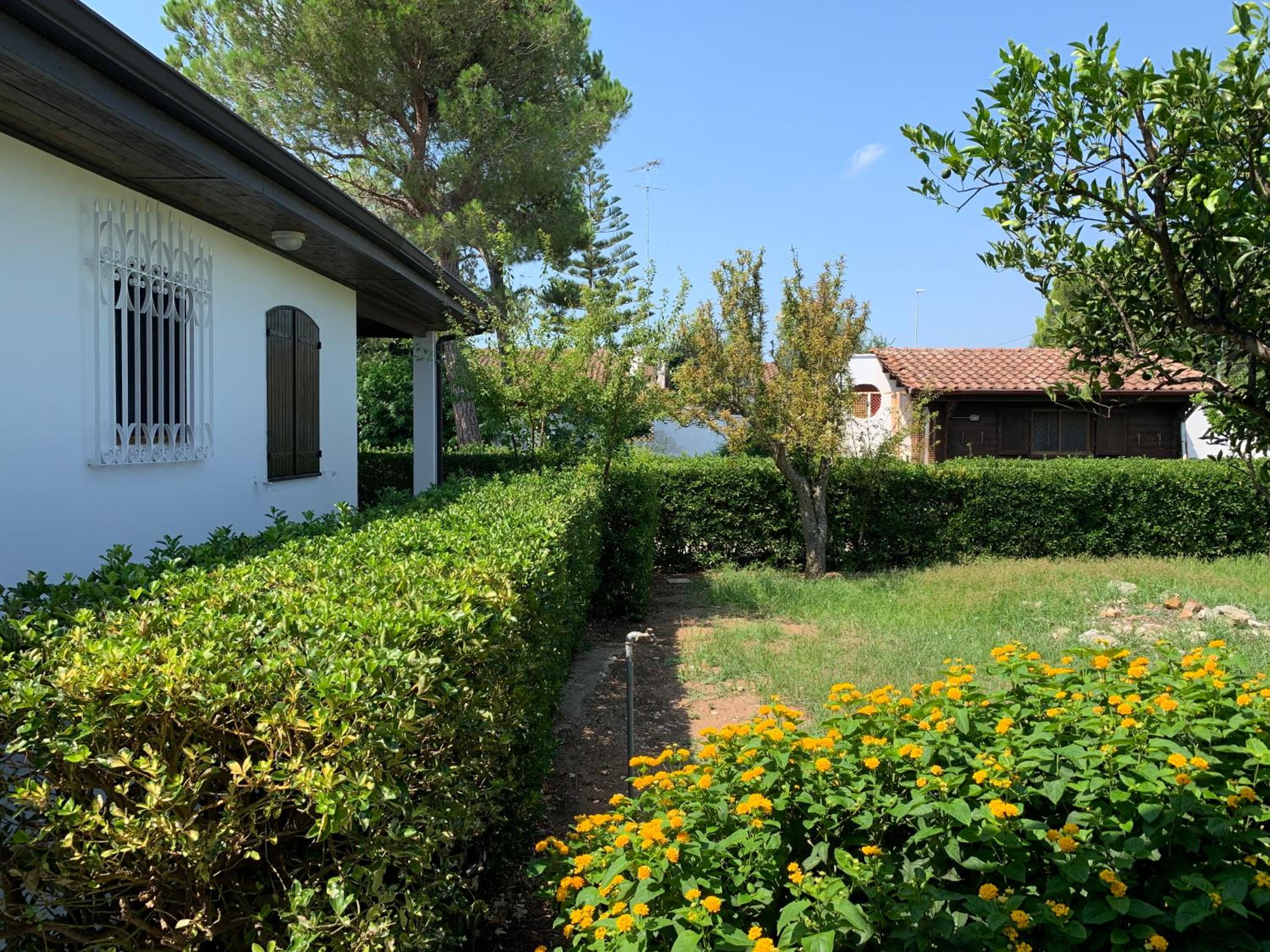 Photo 49