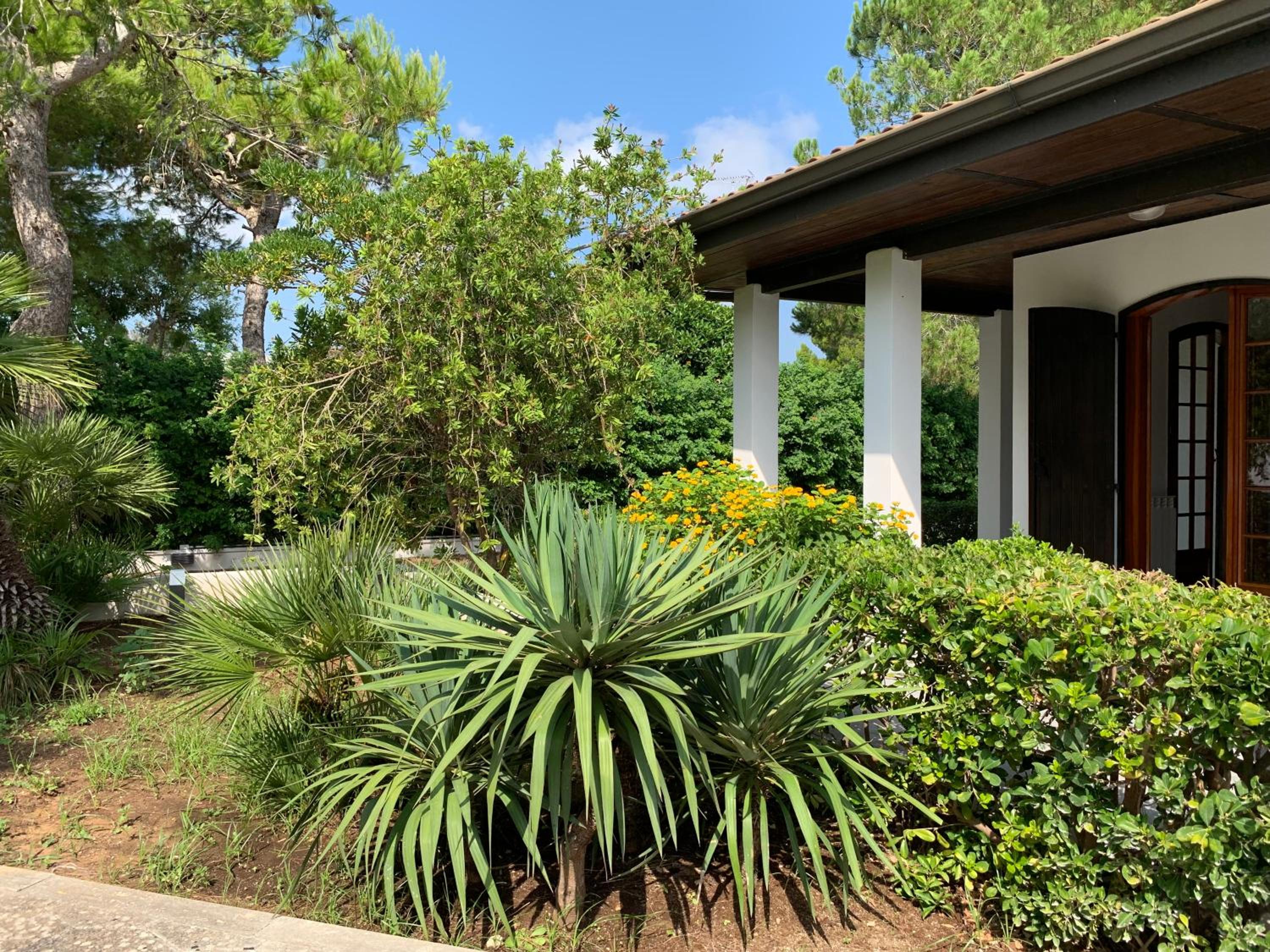 A Casa di Alfredo appartamento in villa view 3